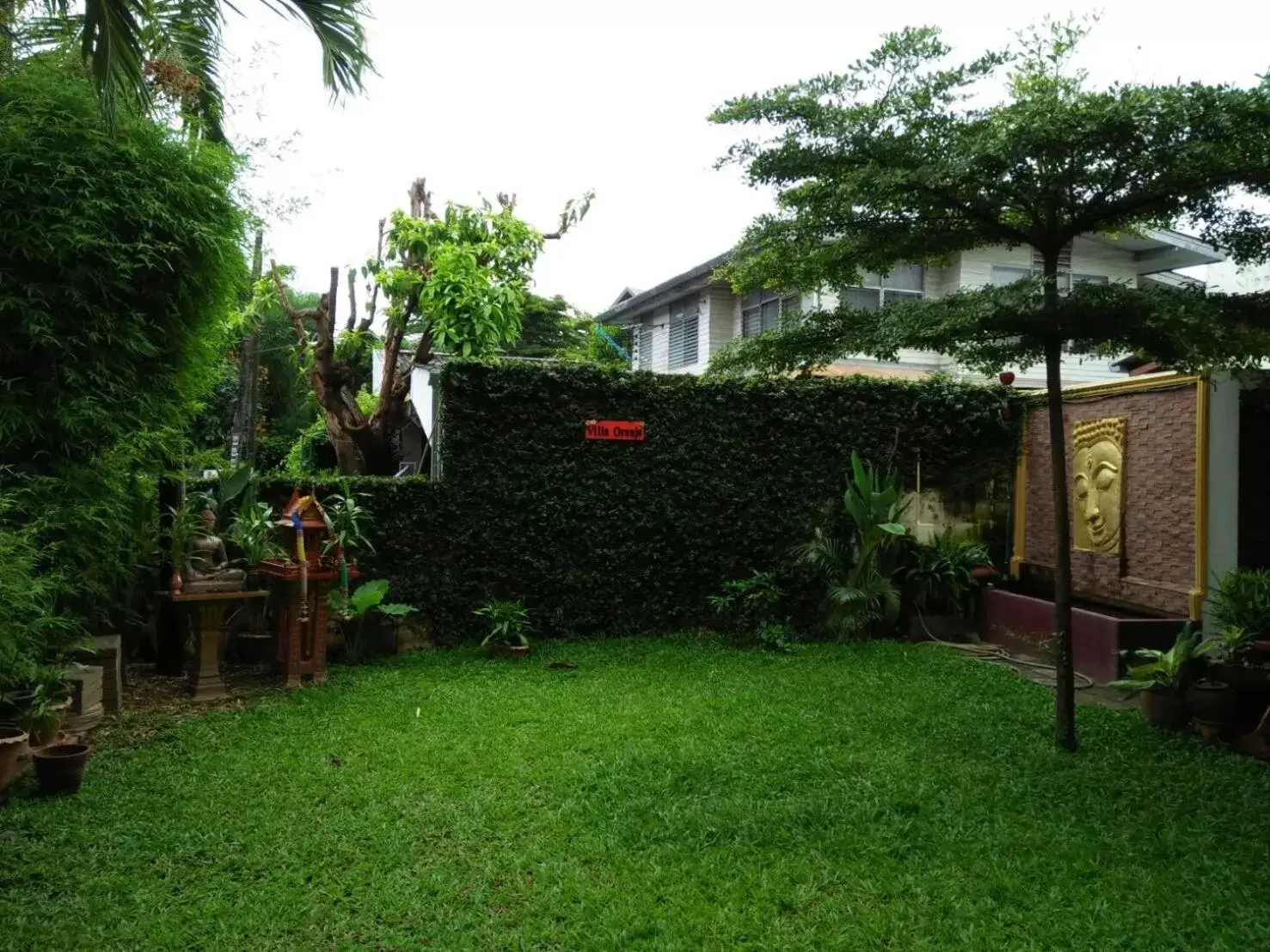 Garden in Villa Oranje Chiang Mai