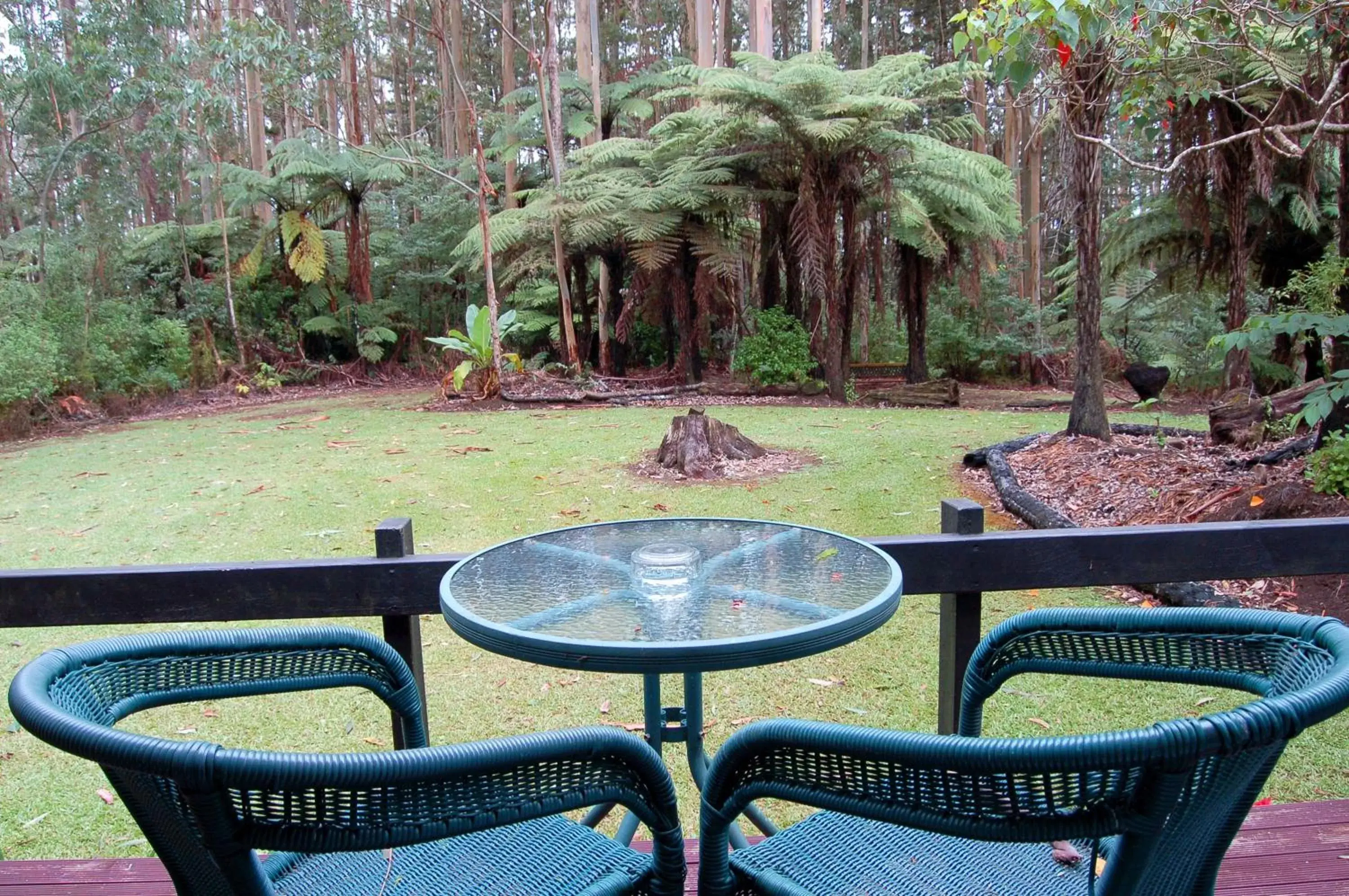 Patio in Woodlands Motel