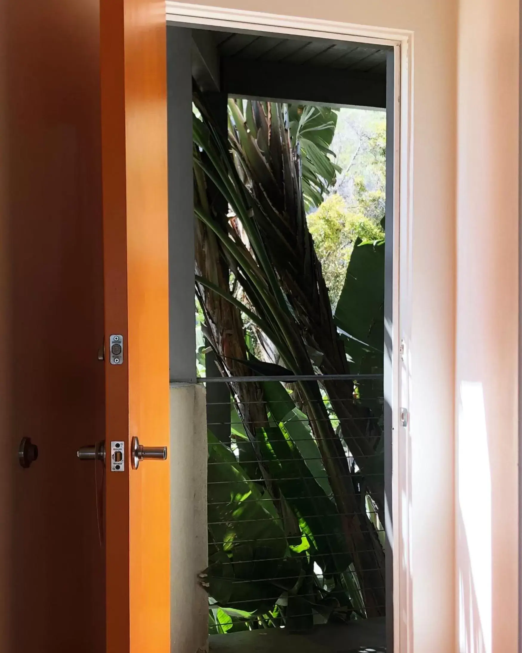 Garden view in The M Malibu Garden view in The M Malibu