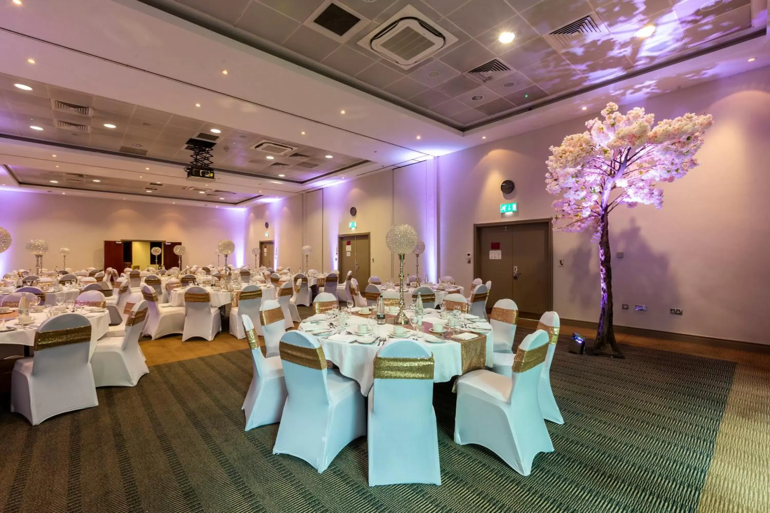 Banquet/Function facilities, Banquet Facilities in Crowne Plaza Birmingham NEC, an IHG Hotel