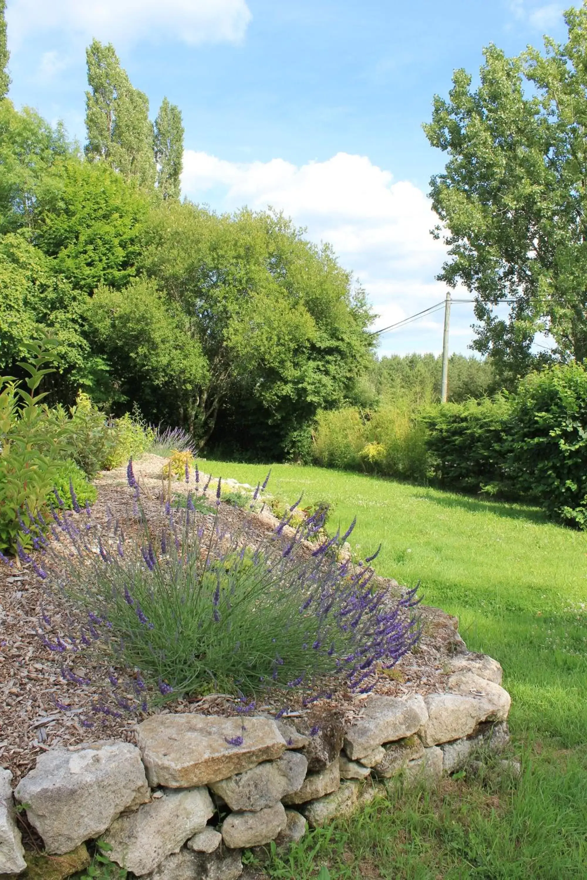 Summer, Garden in Château Puygrenier