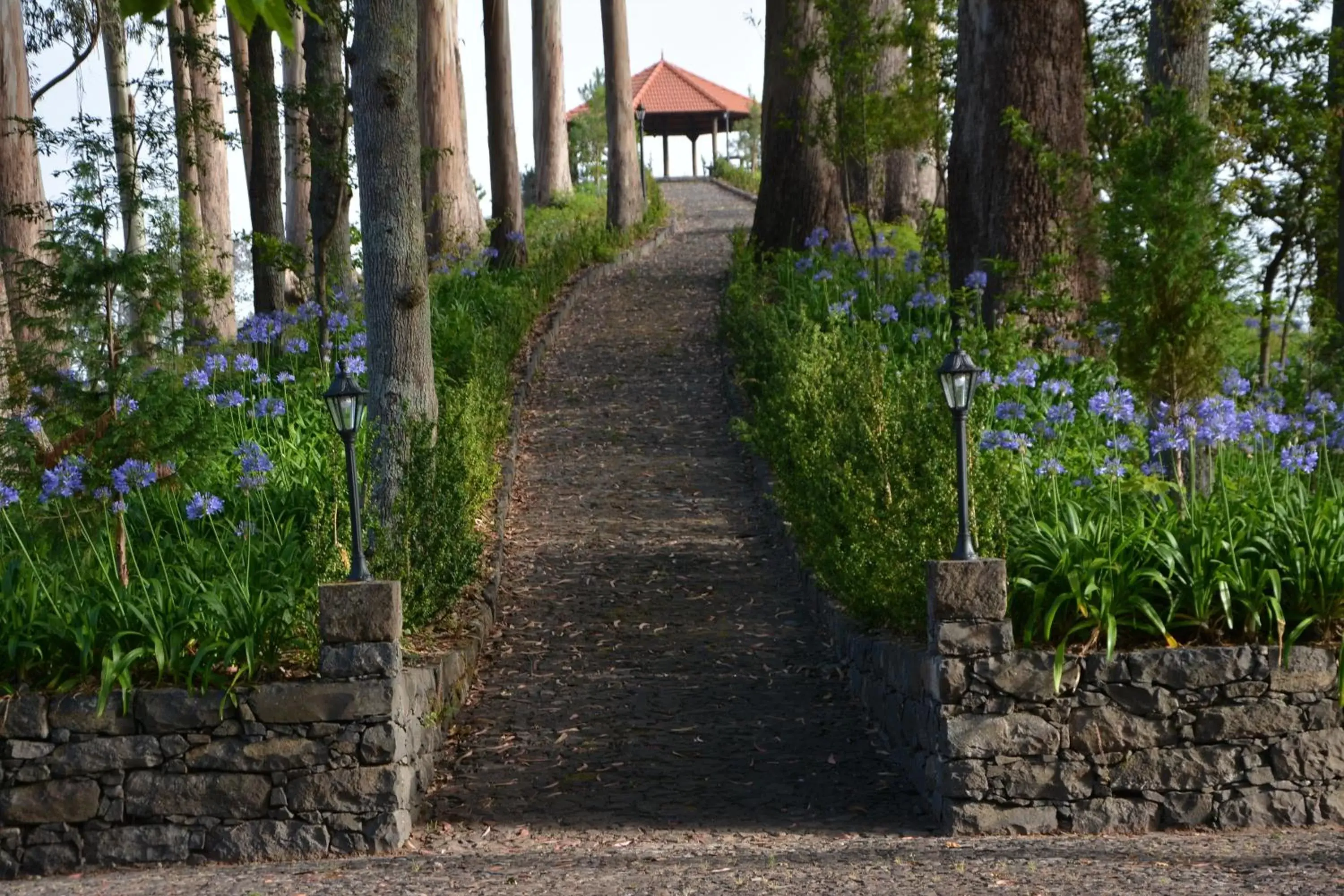 Garden in BIO Hotel - Hotel Quinta da Serra