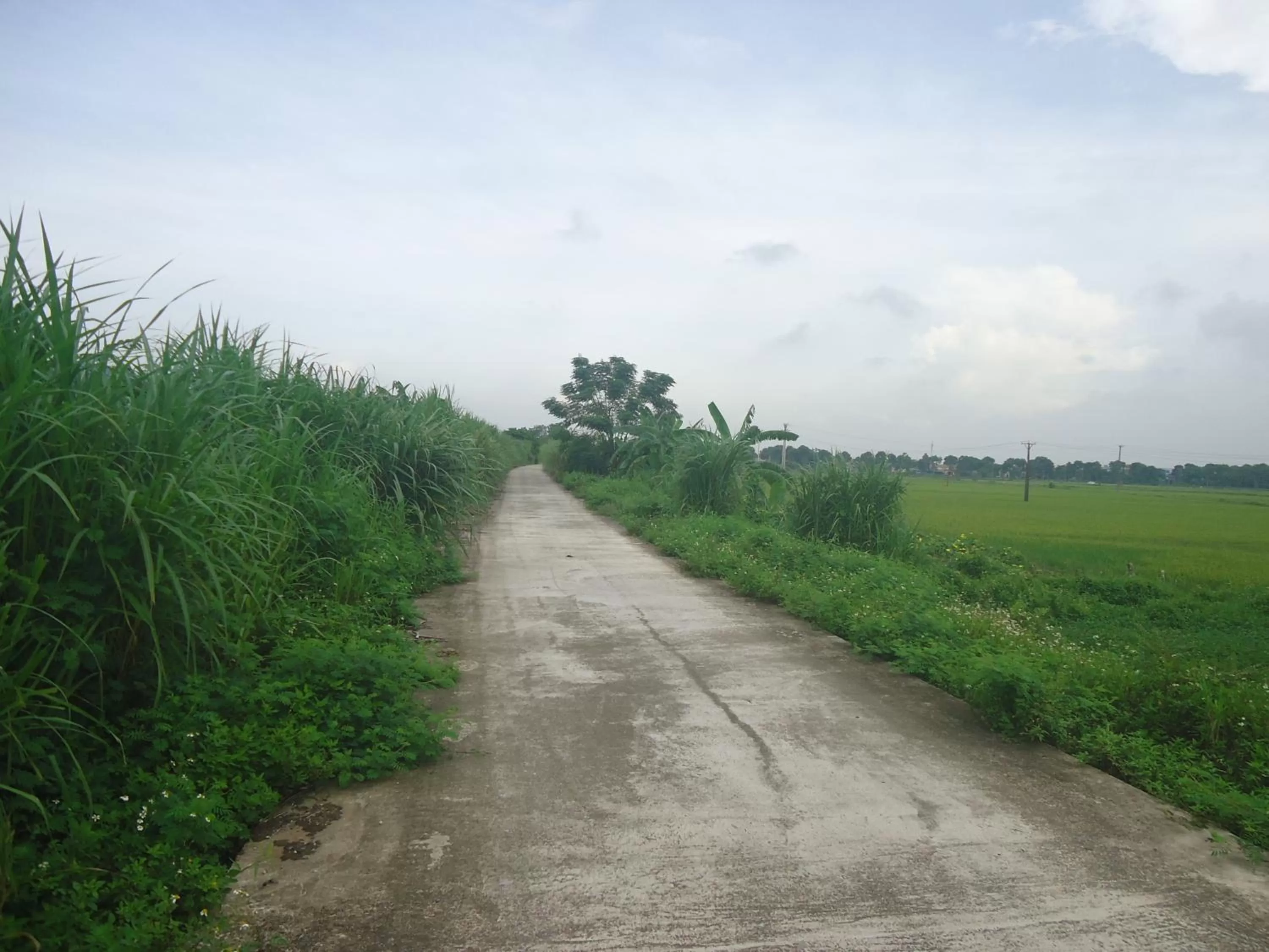Natural landscape in Green Space Homestay