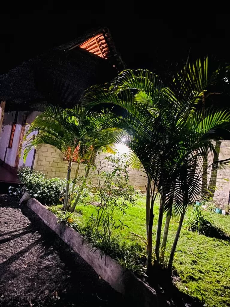 Garden in Charming Eco-Homestay near Kilimanjaro International Airport