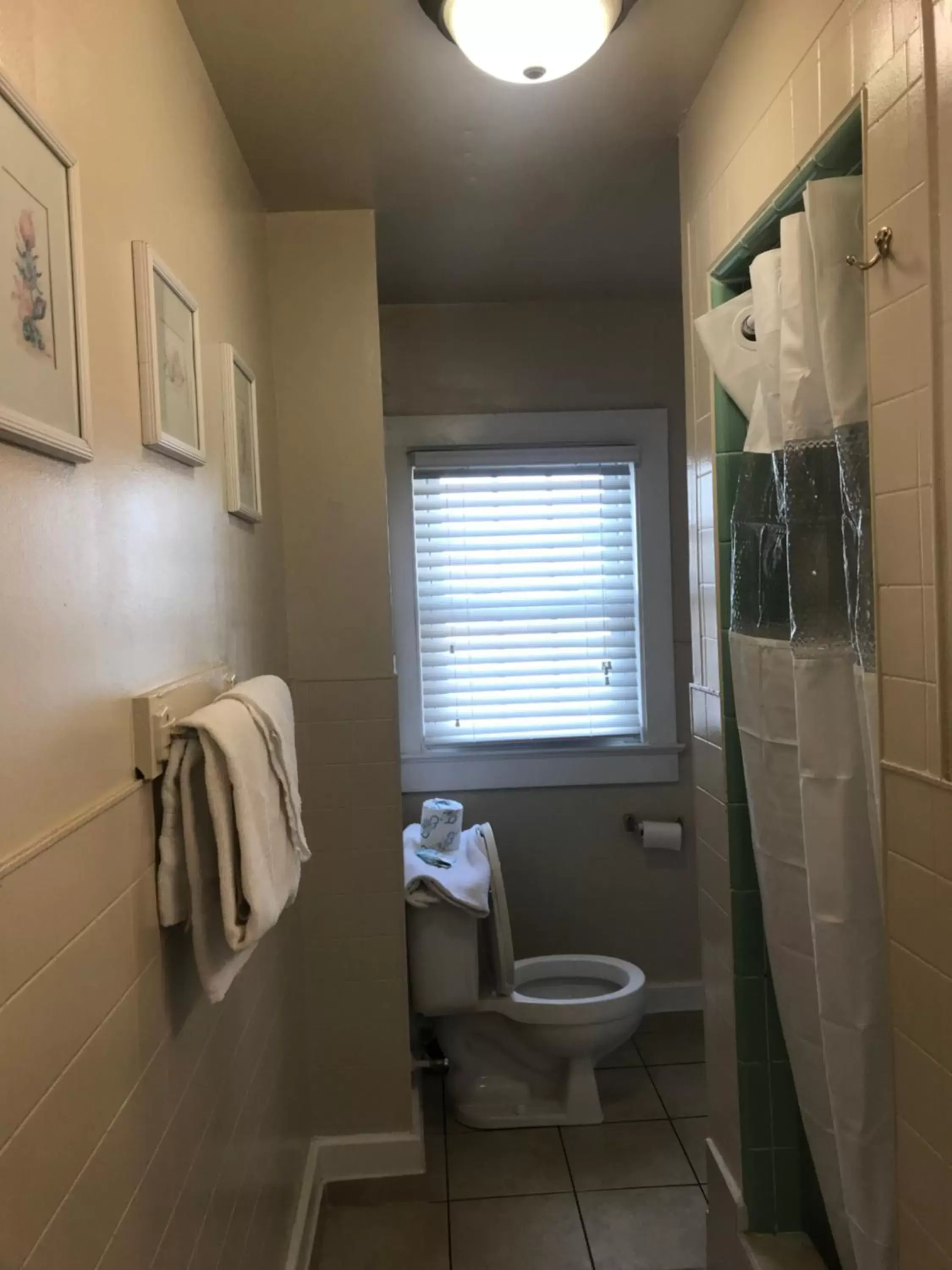 Shower, Bathroom in Ocean Lodge Hotel & Apartments