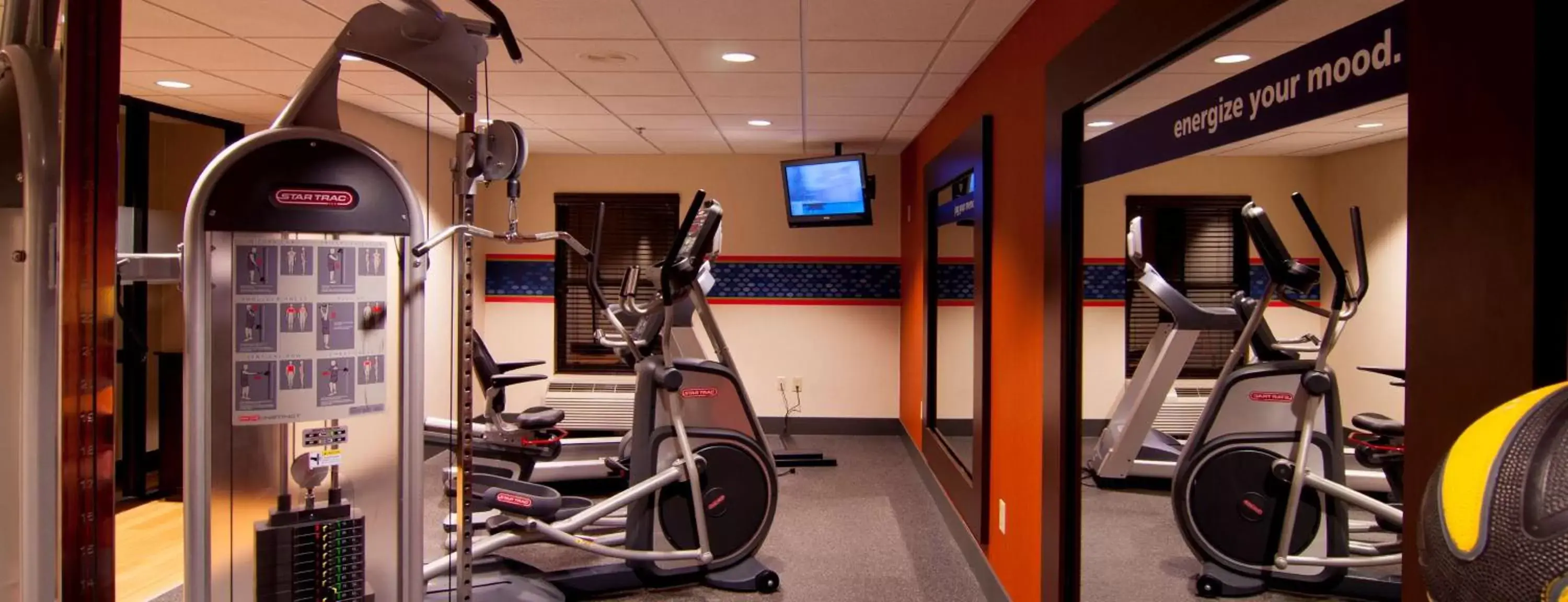 Fitness centre/facilities, Fitness Center/Facilities in Hampton Inn & Suites Tampa-North
