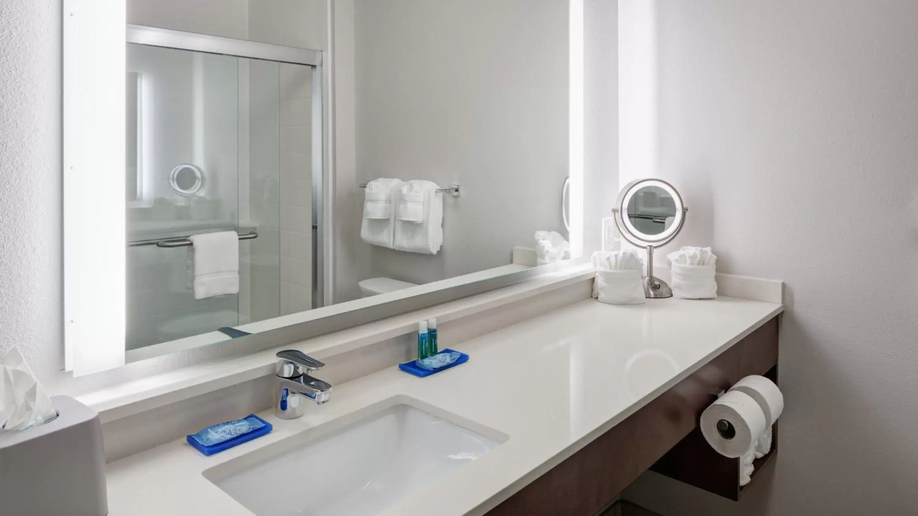 Bathroom in Holiday Inn Express & Suites - Orlando At Seaworld, an IHG Hotel