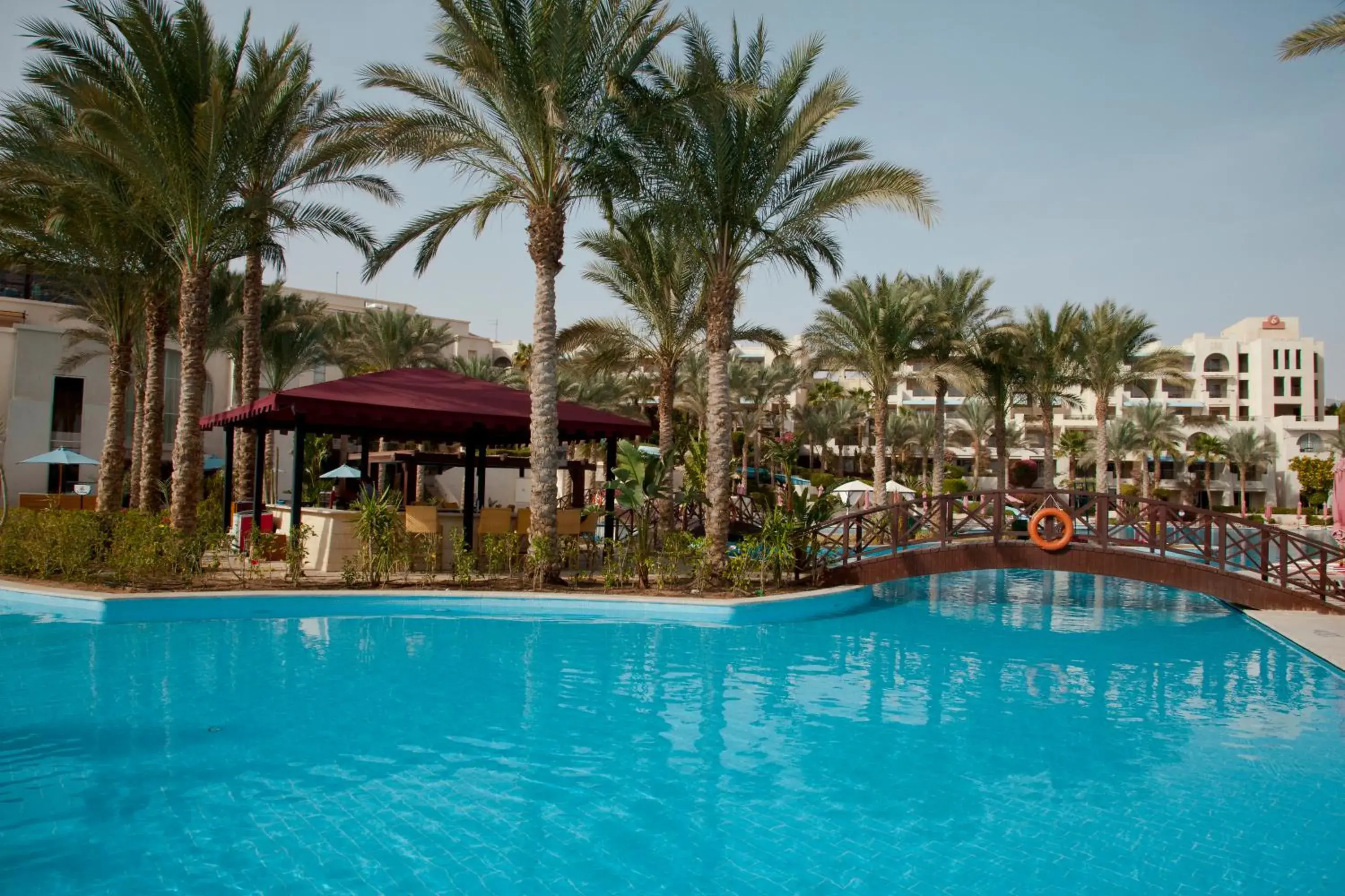 Pool view, Swimming Pool in Grand Rotana Resort & Spa