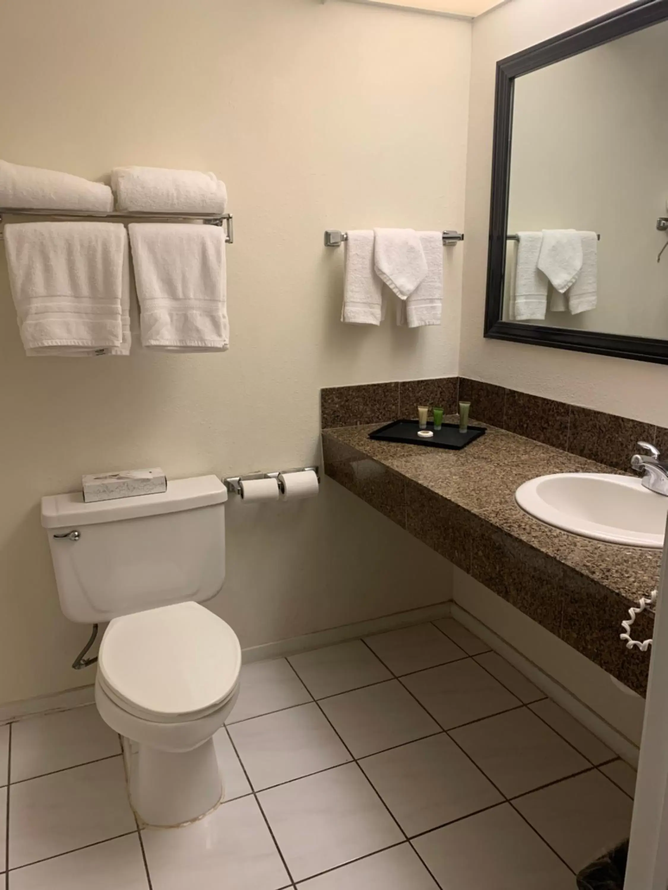 Bathroom in Miracle Springs Resort and Spa