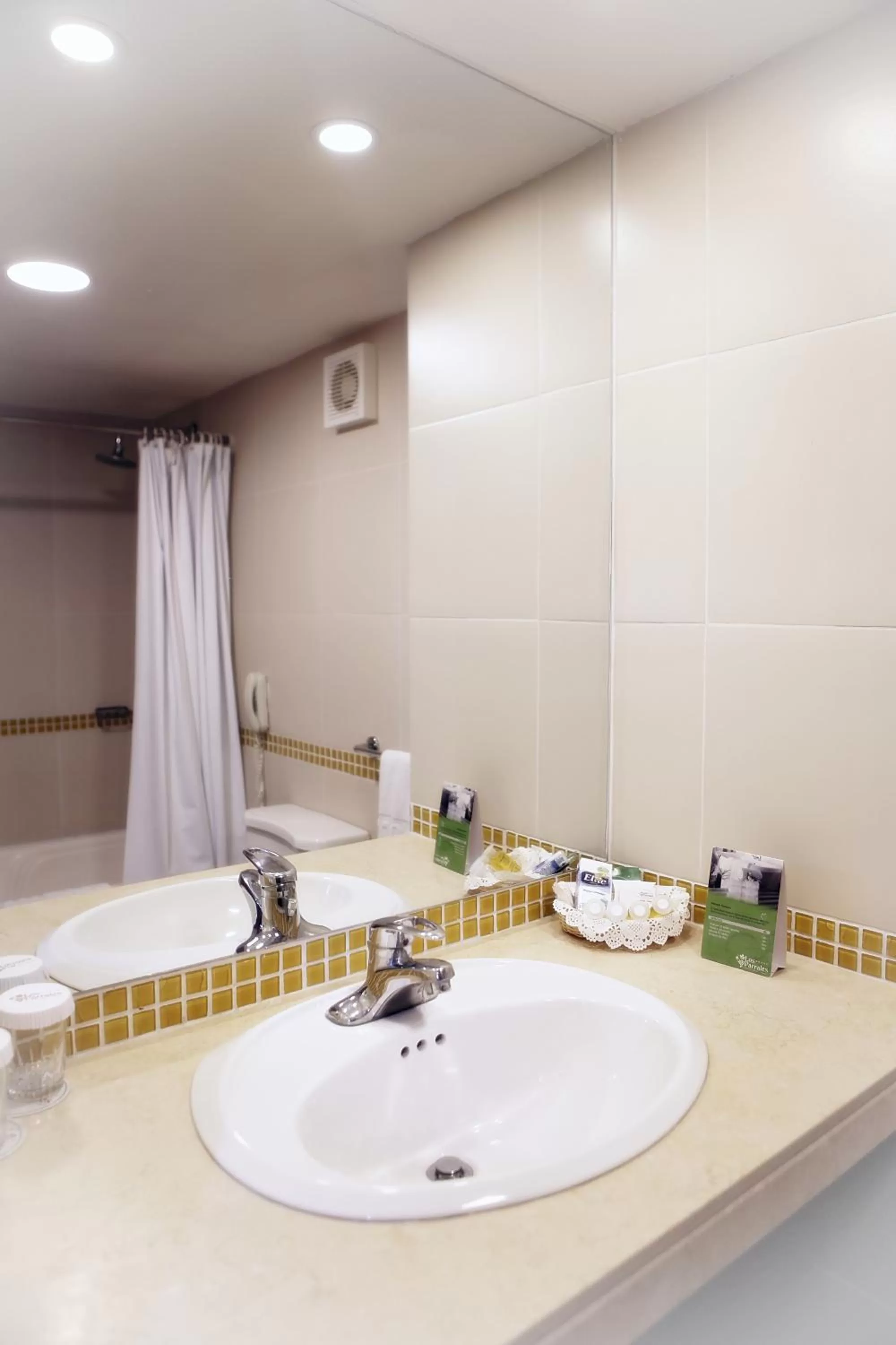 Bathroom in Hotel Los Parrales