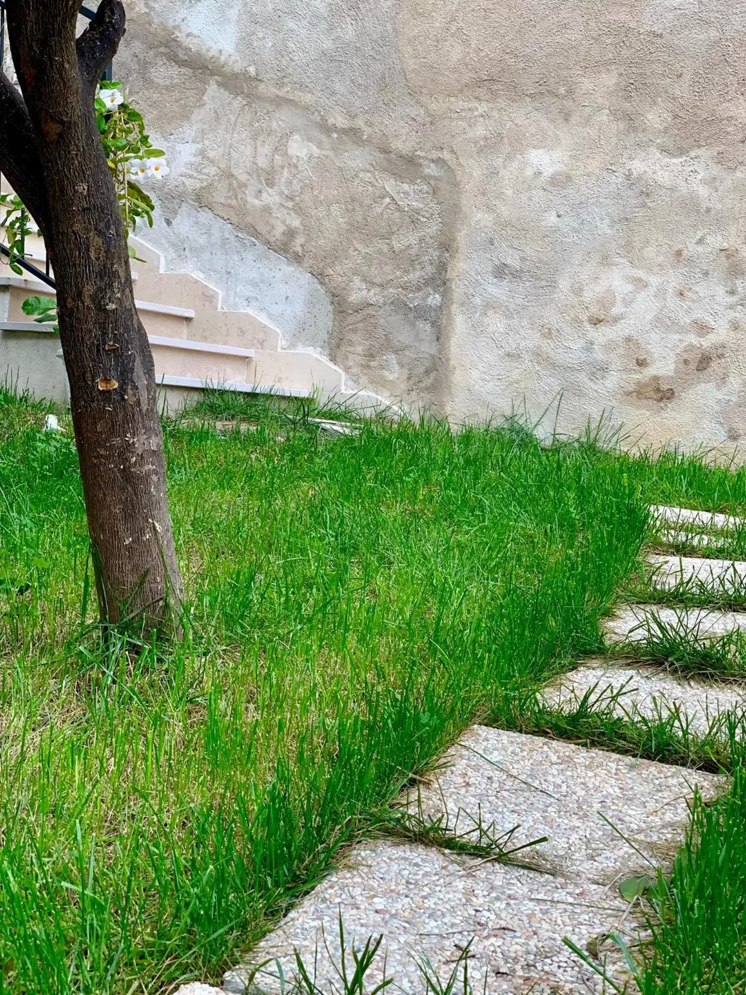 Garden in B&B Di Fiore