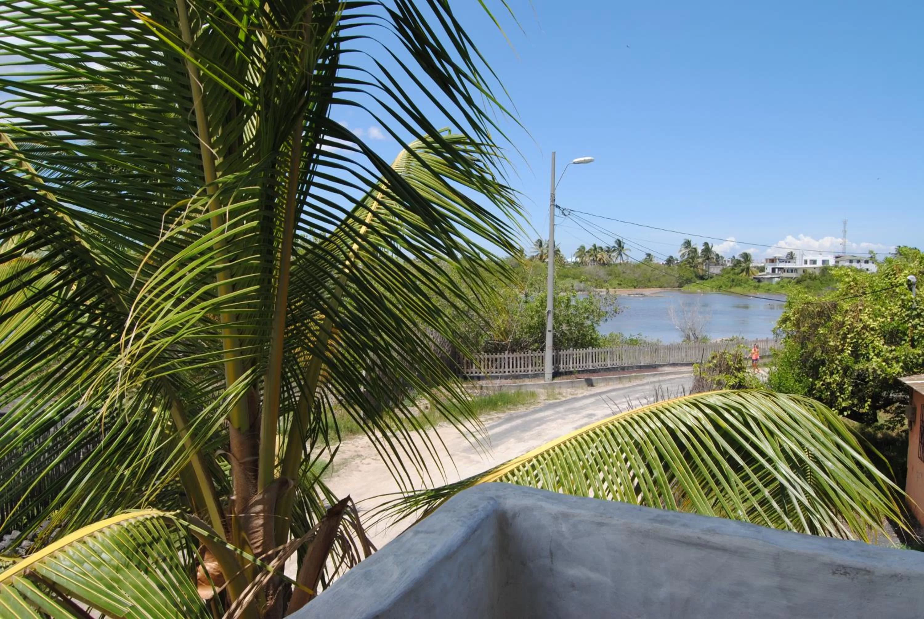 Balcony/Terrace in Hostal Galapagos by Bar de Beto