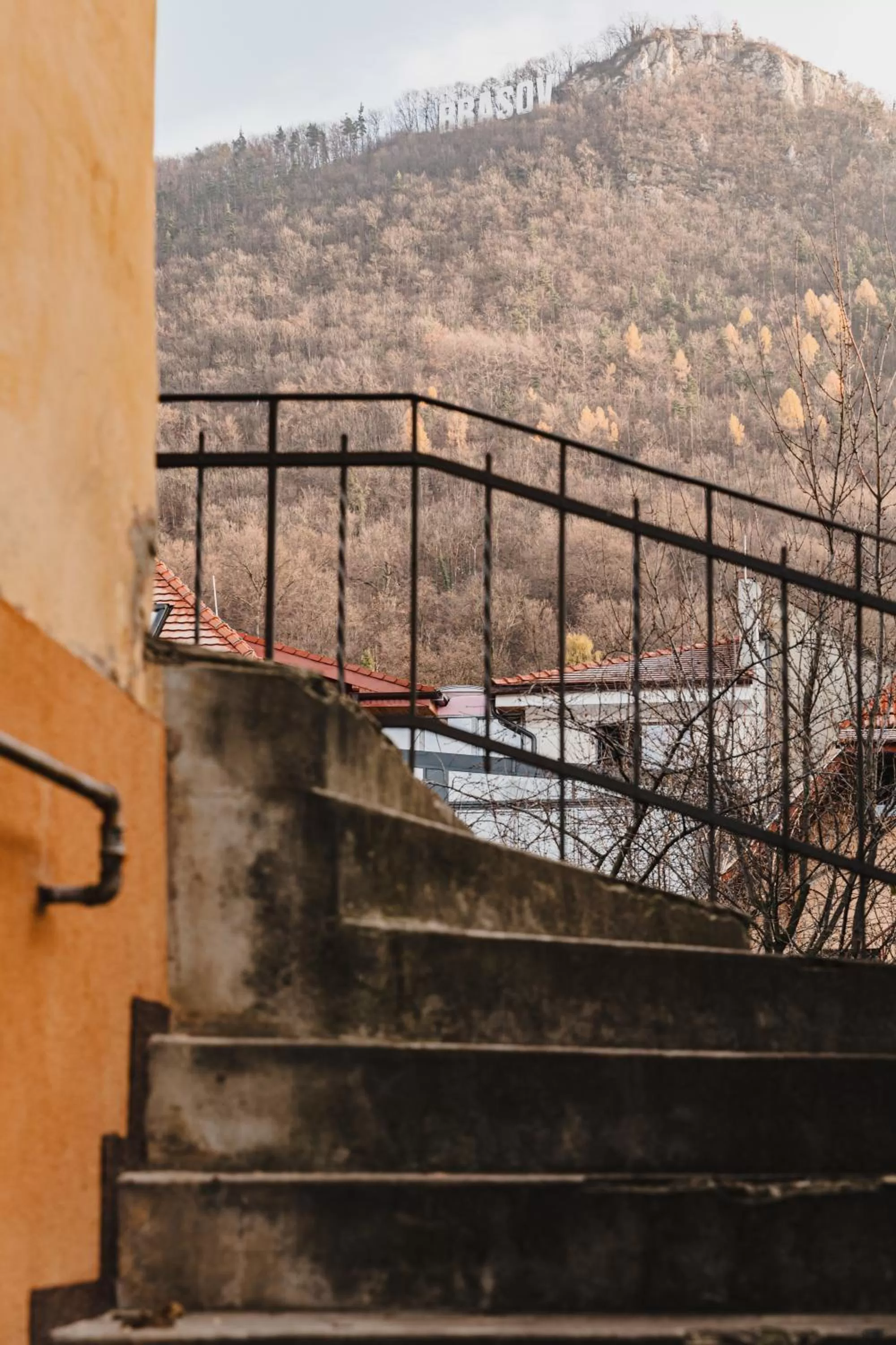 View (from property/room) in ALBERT RESIDENCE Brasov with complimentary parking and 10 percent Food and Drinks