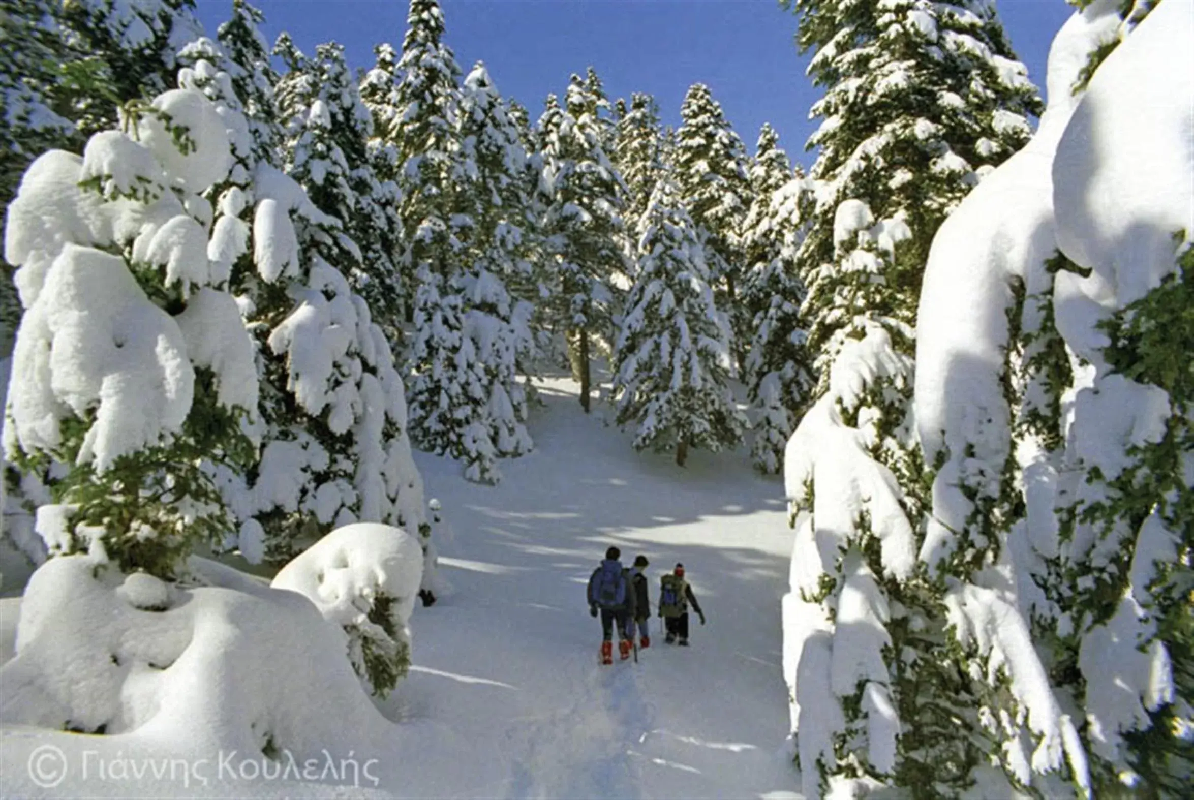 Skiing, Winter in Pan Hotel