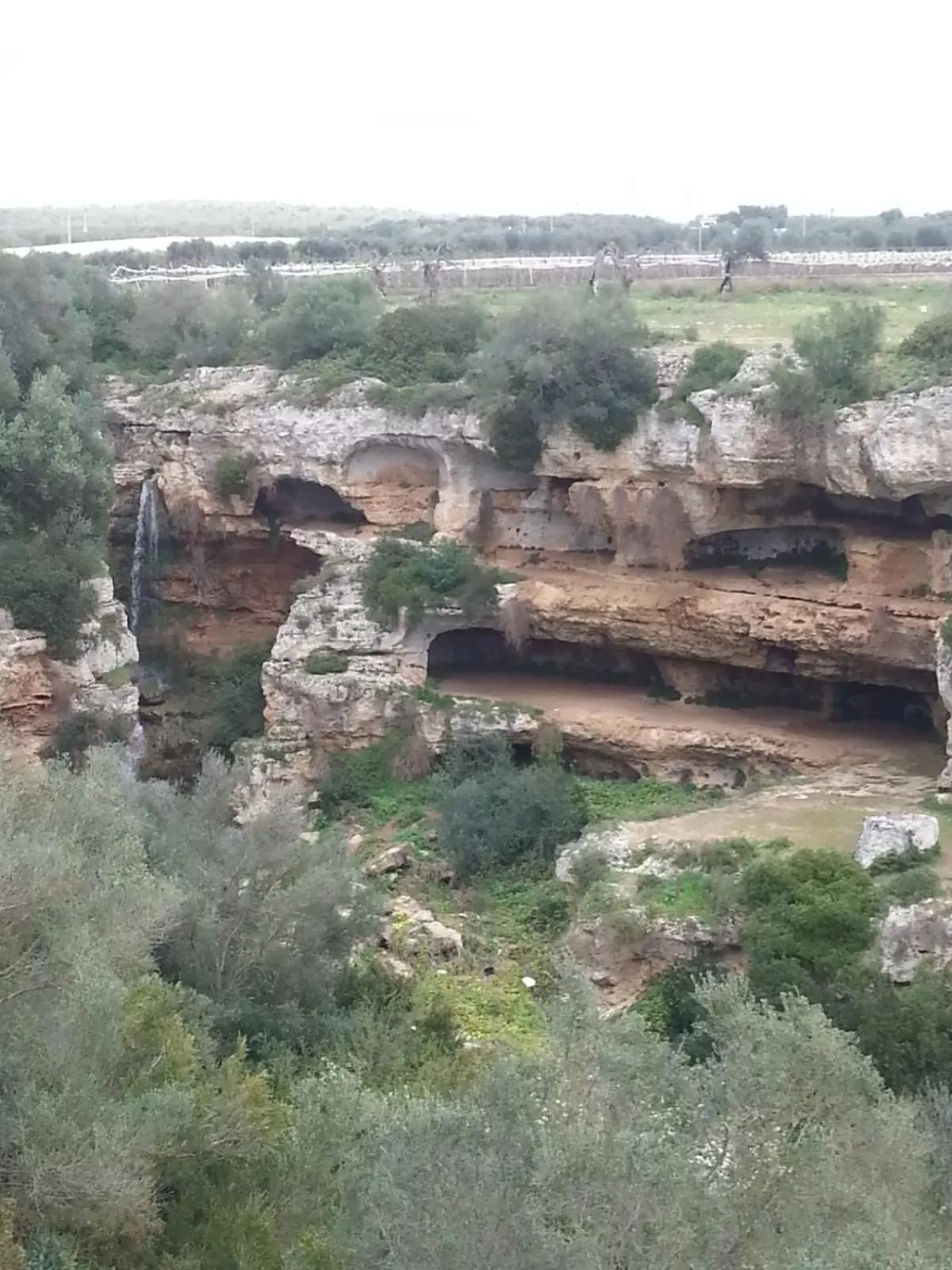 Natural landscape in B&B Lo Smeraldo