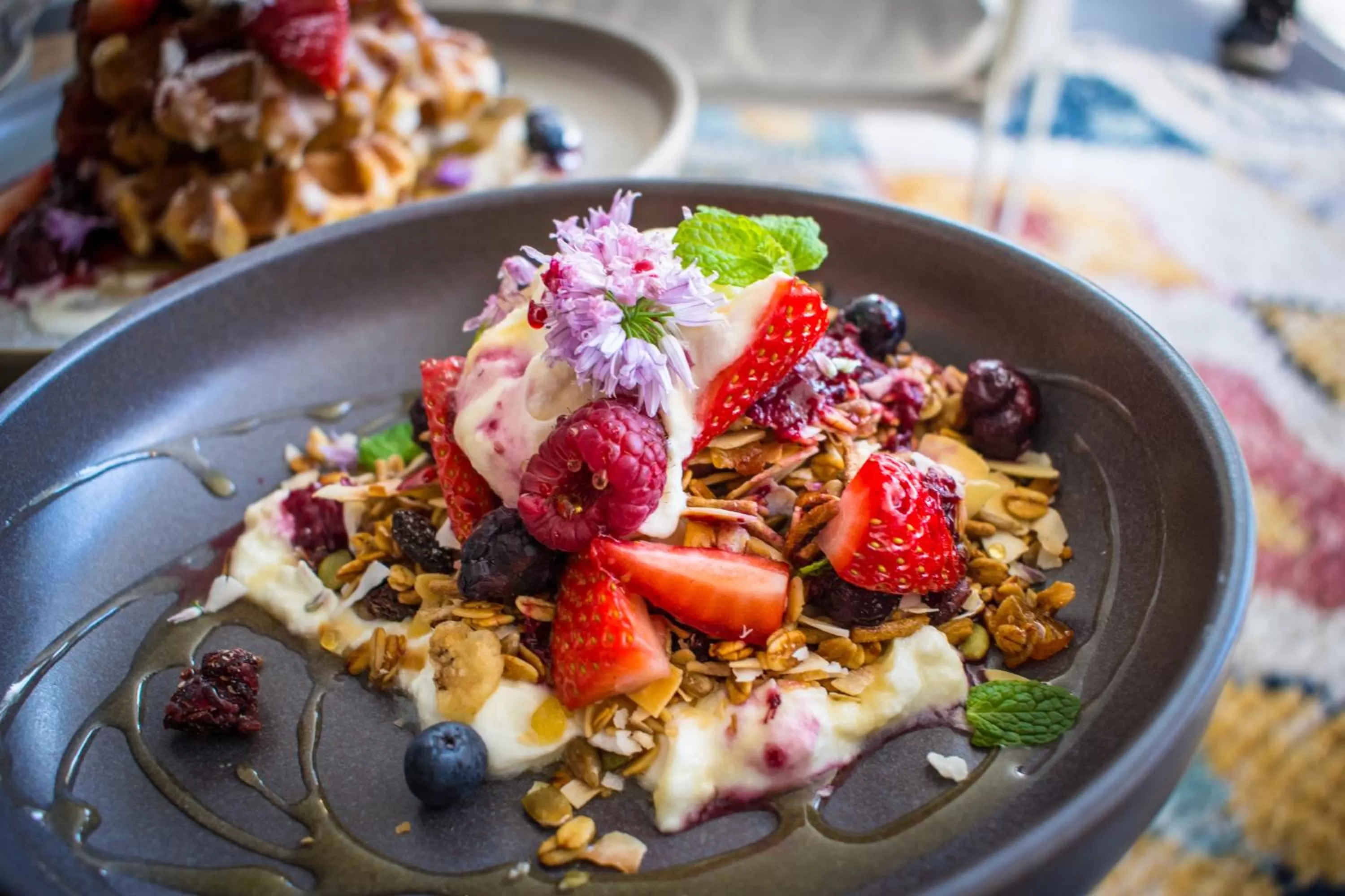 Food and drinks in Mercure Gerringong Resort