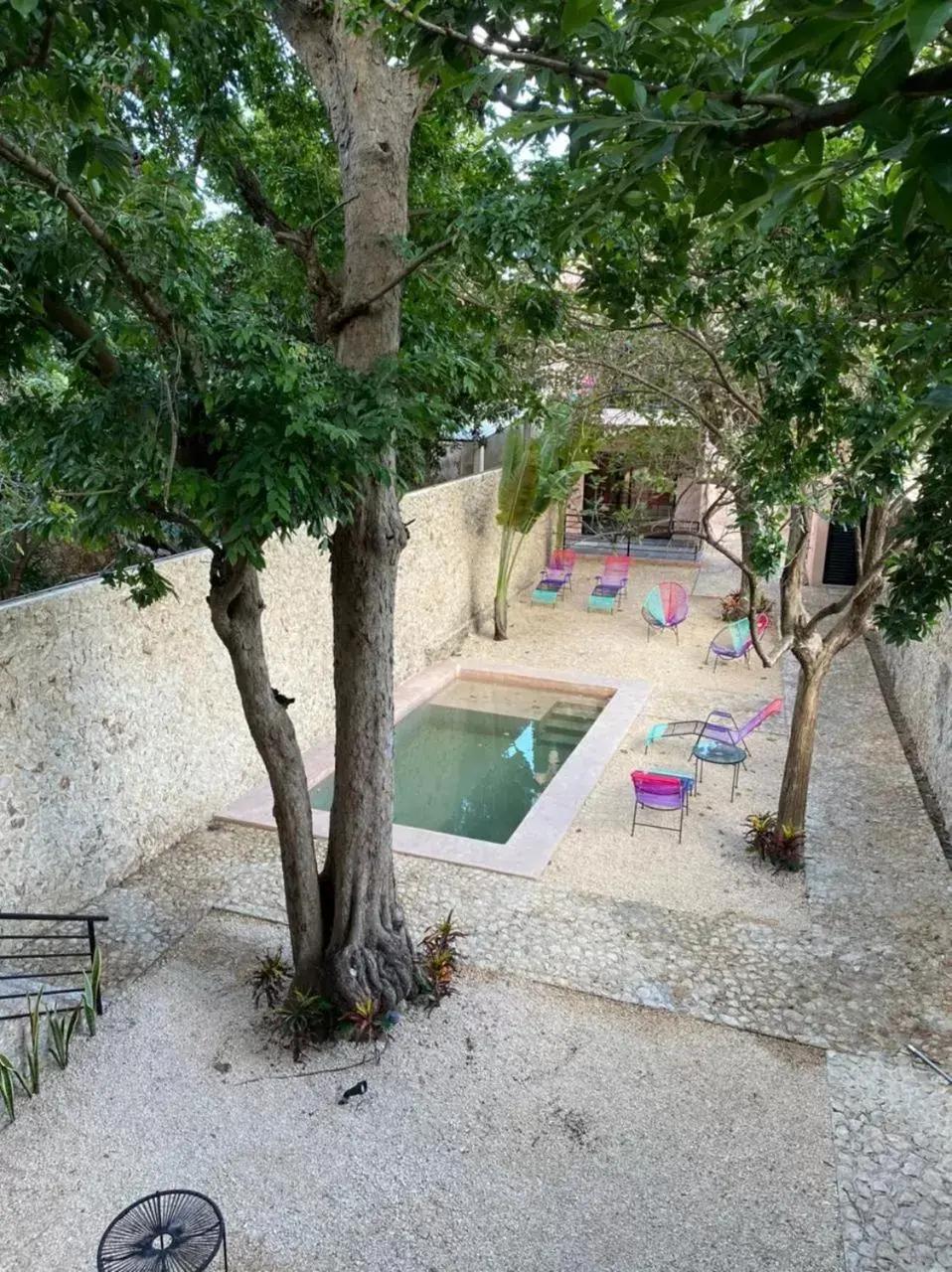 Garden, Swimming Pool in Hotelito YUM KAAX