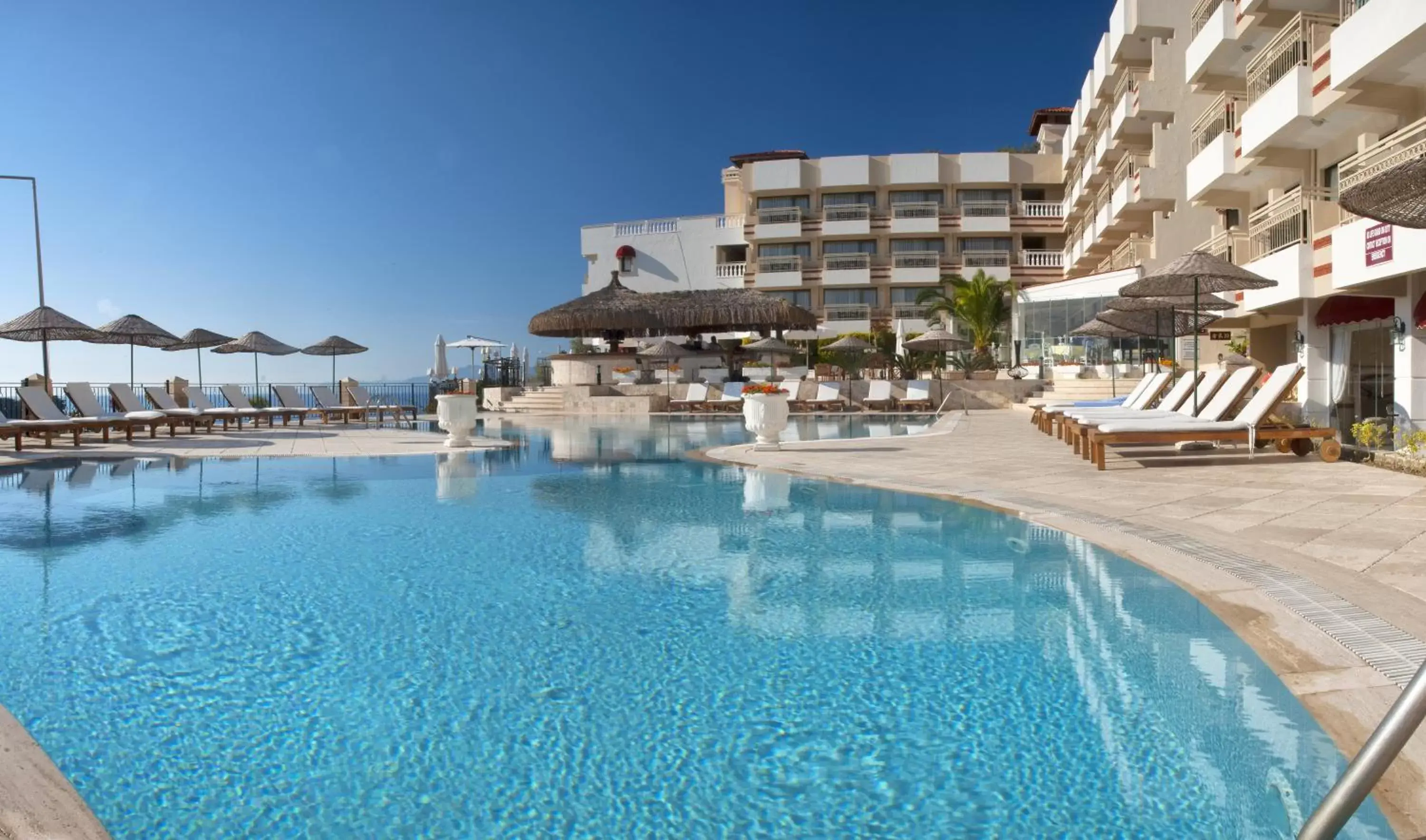 Swimming Pool in Hotel Carina