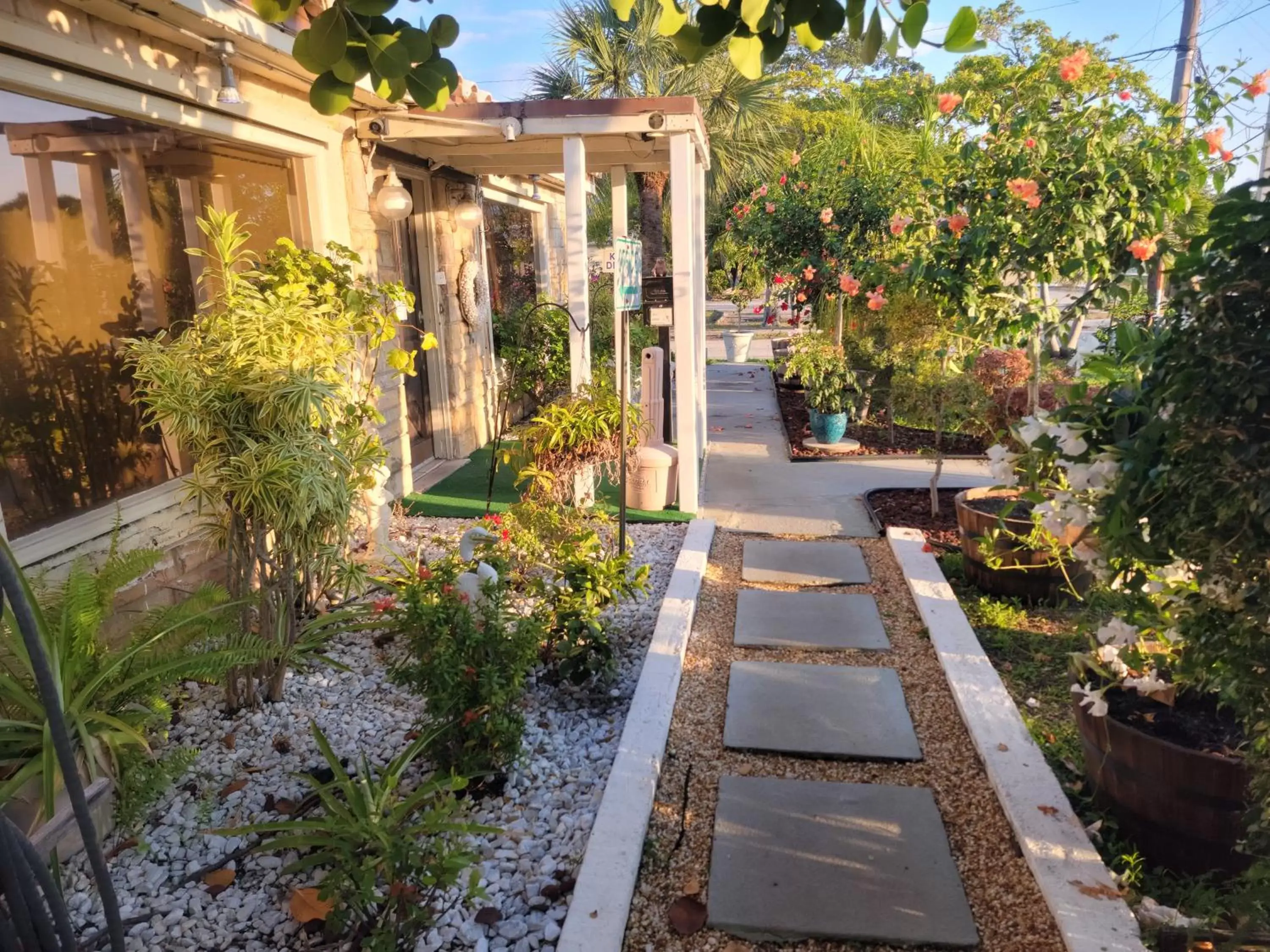 Garden view in Barefoot mailman motel Garden view in Barefoot mailman motel