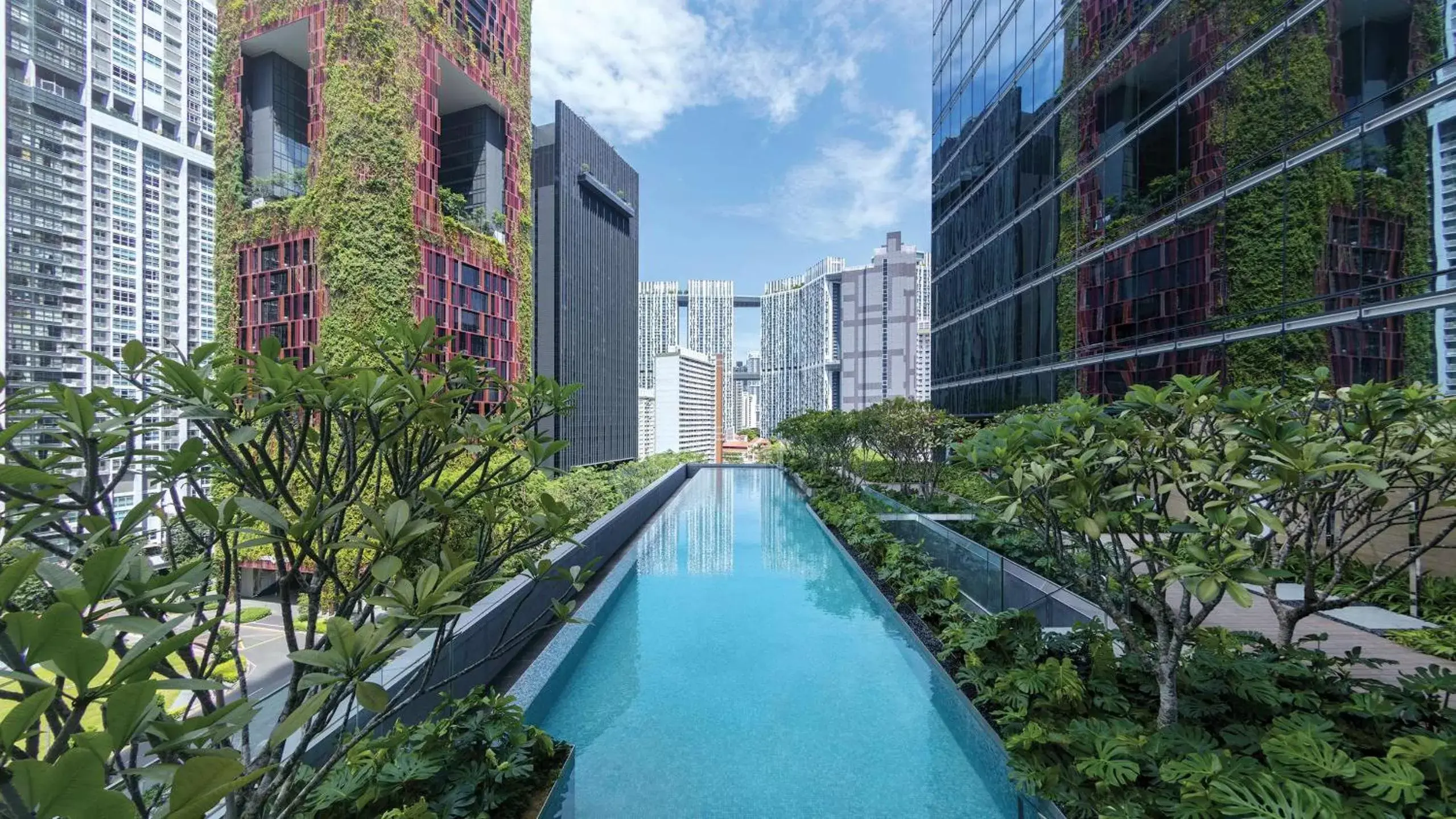 Property building, Swimming Pool in Sofitel Singapore City Centre