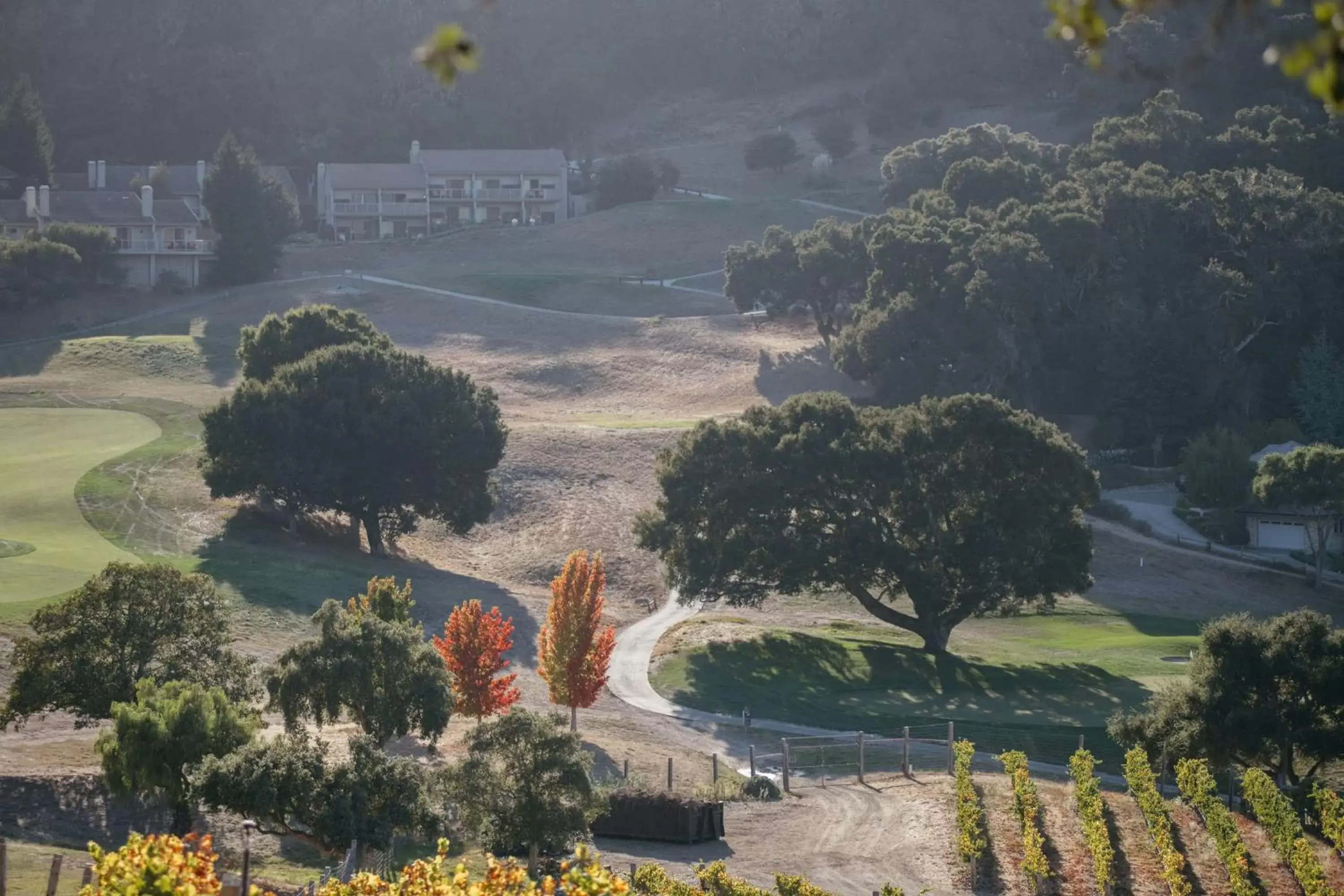 View (from property/room) in Carmel Valley Ranch, in The Unbound Collection by Hyatt