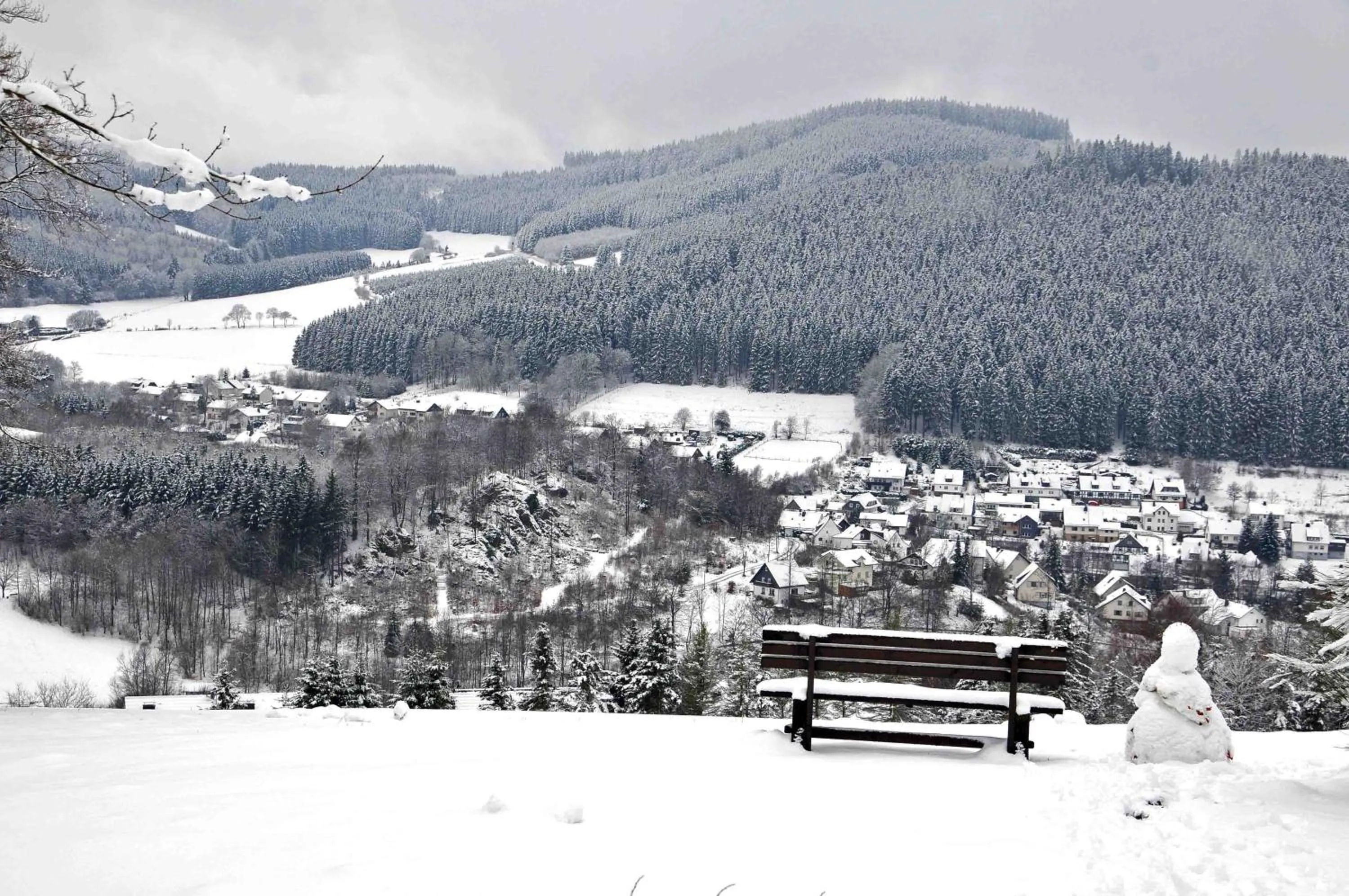 Natural landscape in Hotel Niedersfeld-Winterberg