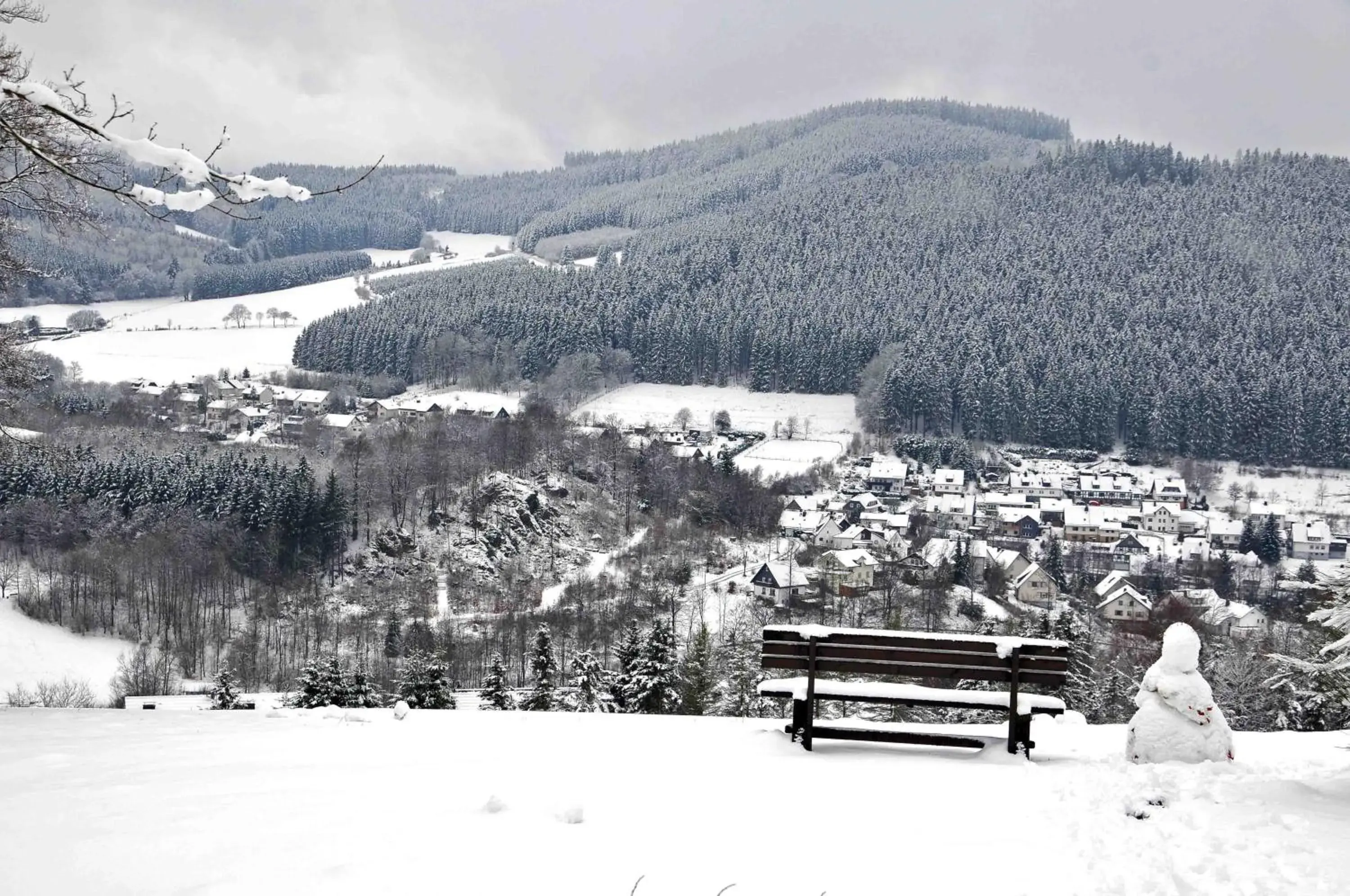 Natural landscape, Winter in Hotel Niedersfeld-Winterberg