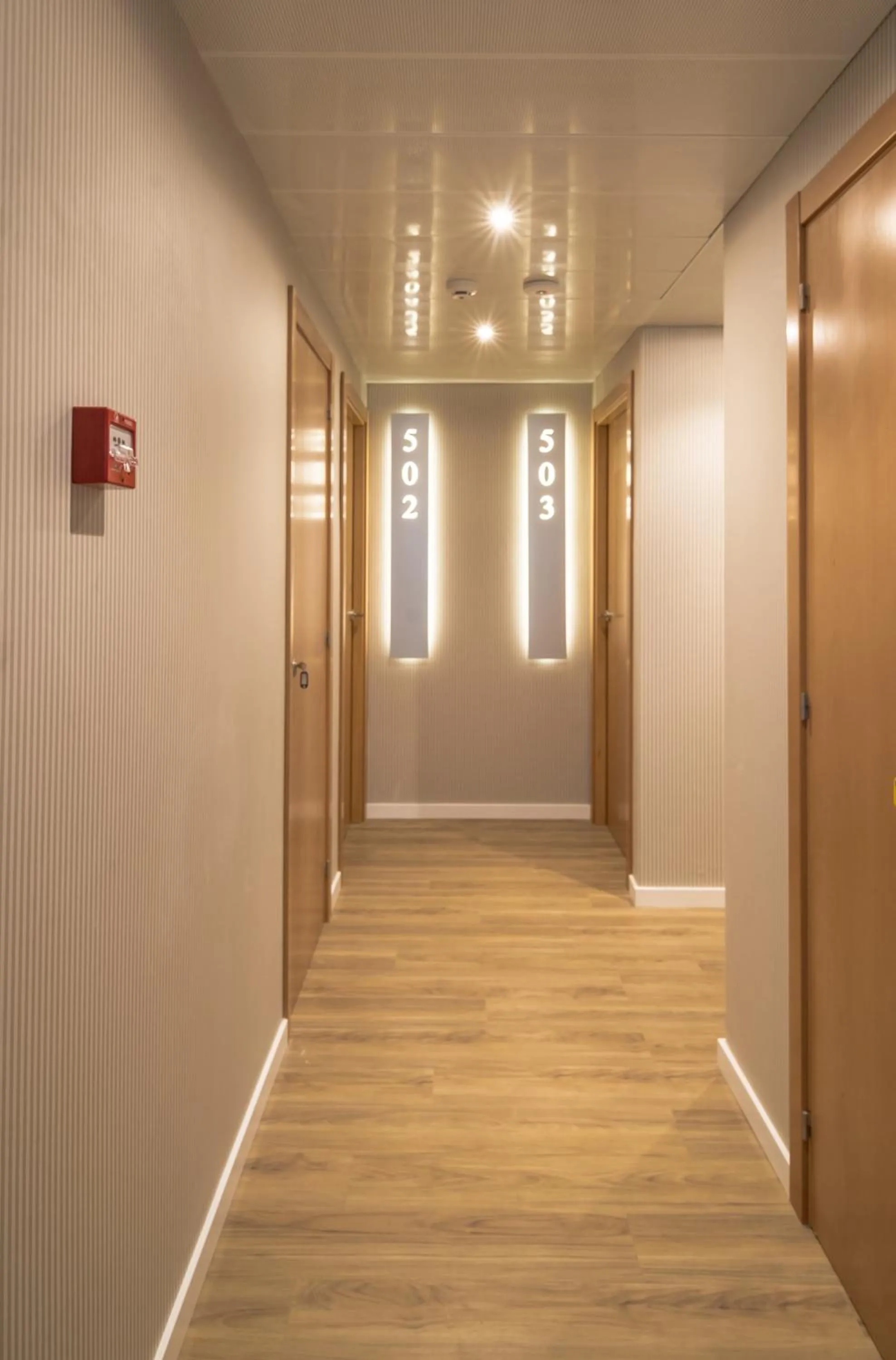 Decorative detail in La Lonja