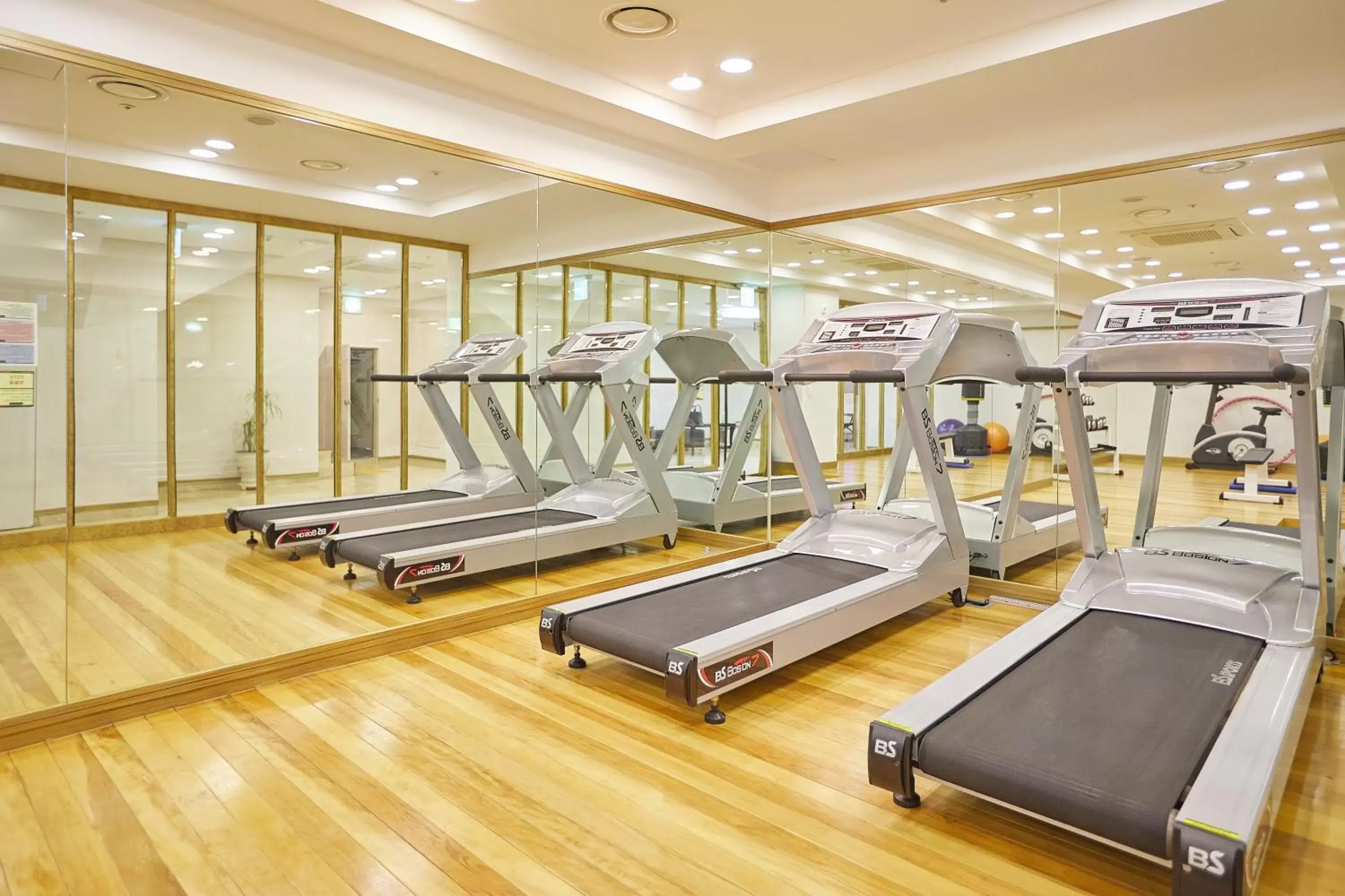 Fitness centre/facilities, Fitness Center/Facilities in Towerhill Hotel