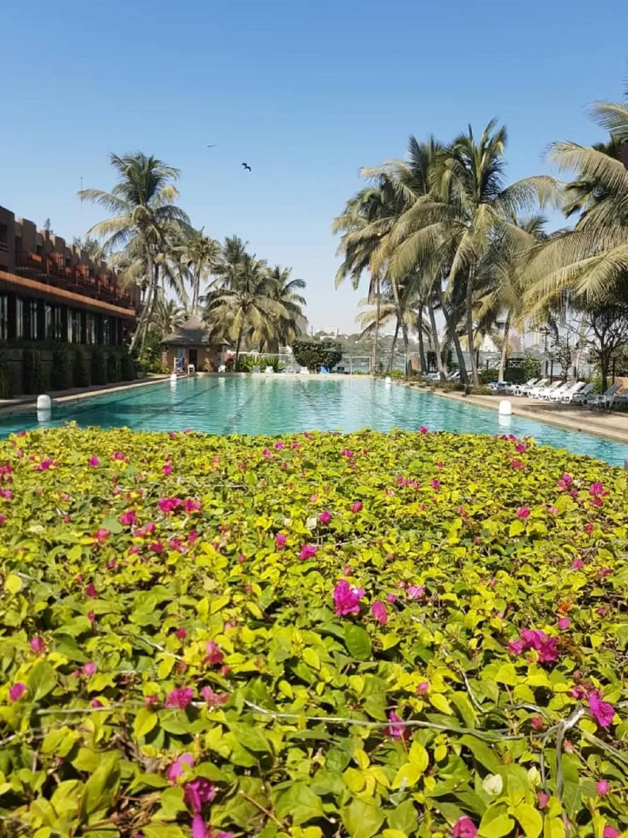 Swimming pool, Garden in Hotel Jardin Savana Dakar