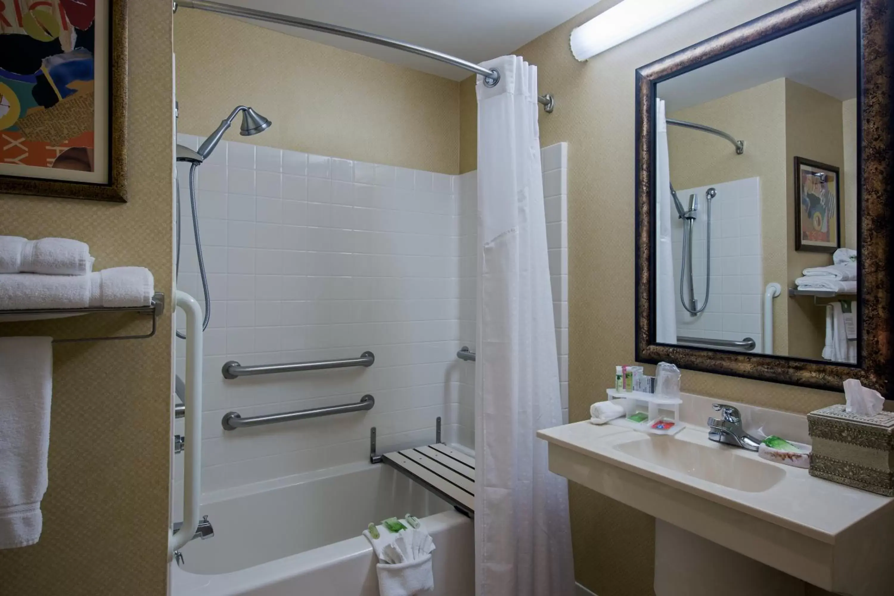 Bathroom in Holiday Inn Express Hotel & Suites Youngstown North-Warren/Niles, an IHG Hotel
