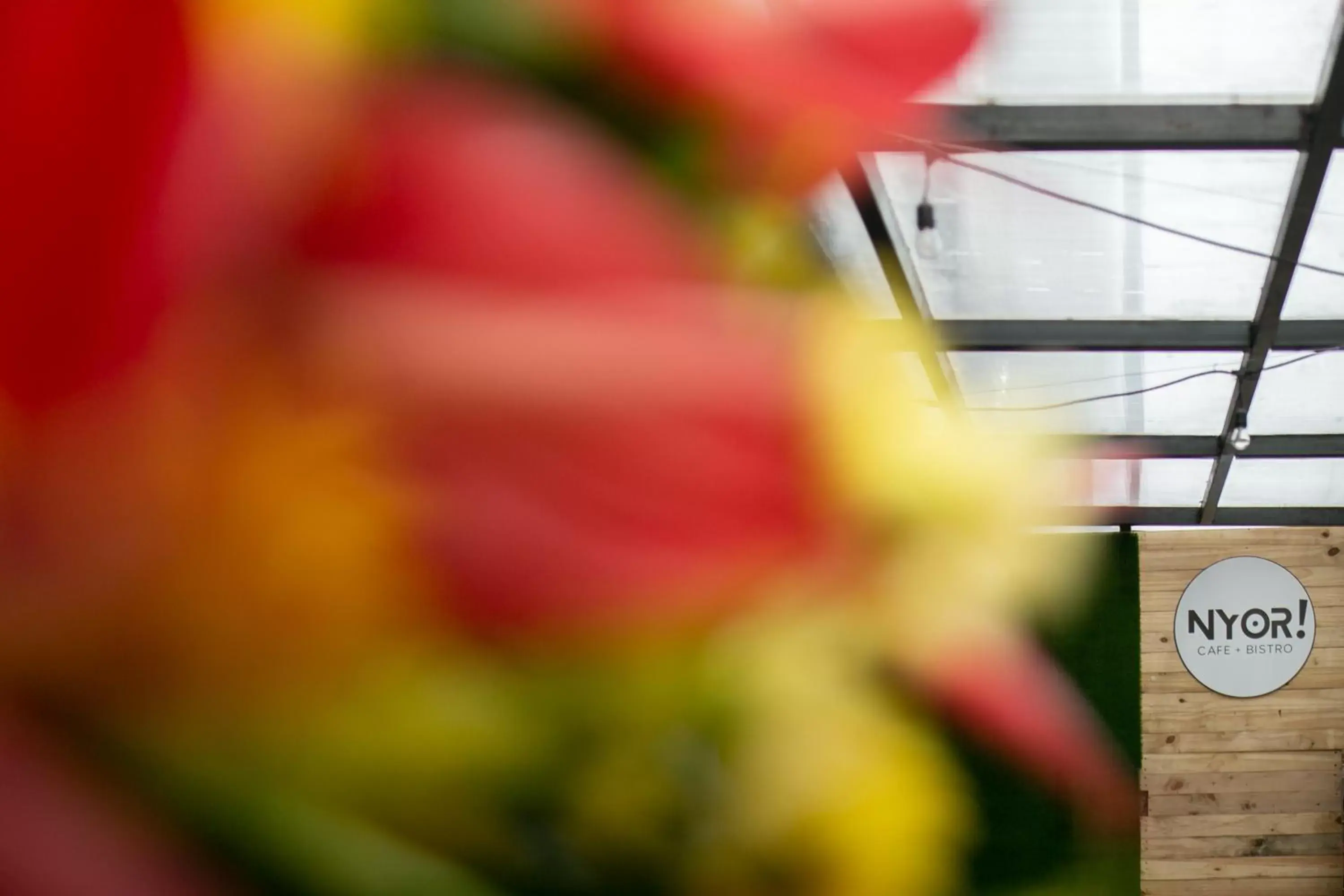 Restaurant/places to eat in HappyNest Hostel Cebu Restaurant/places to eat in HappyNest Hostel Cebu