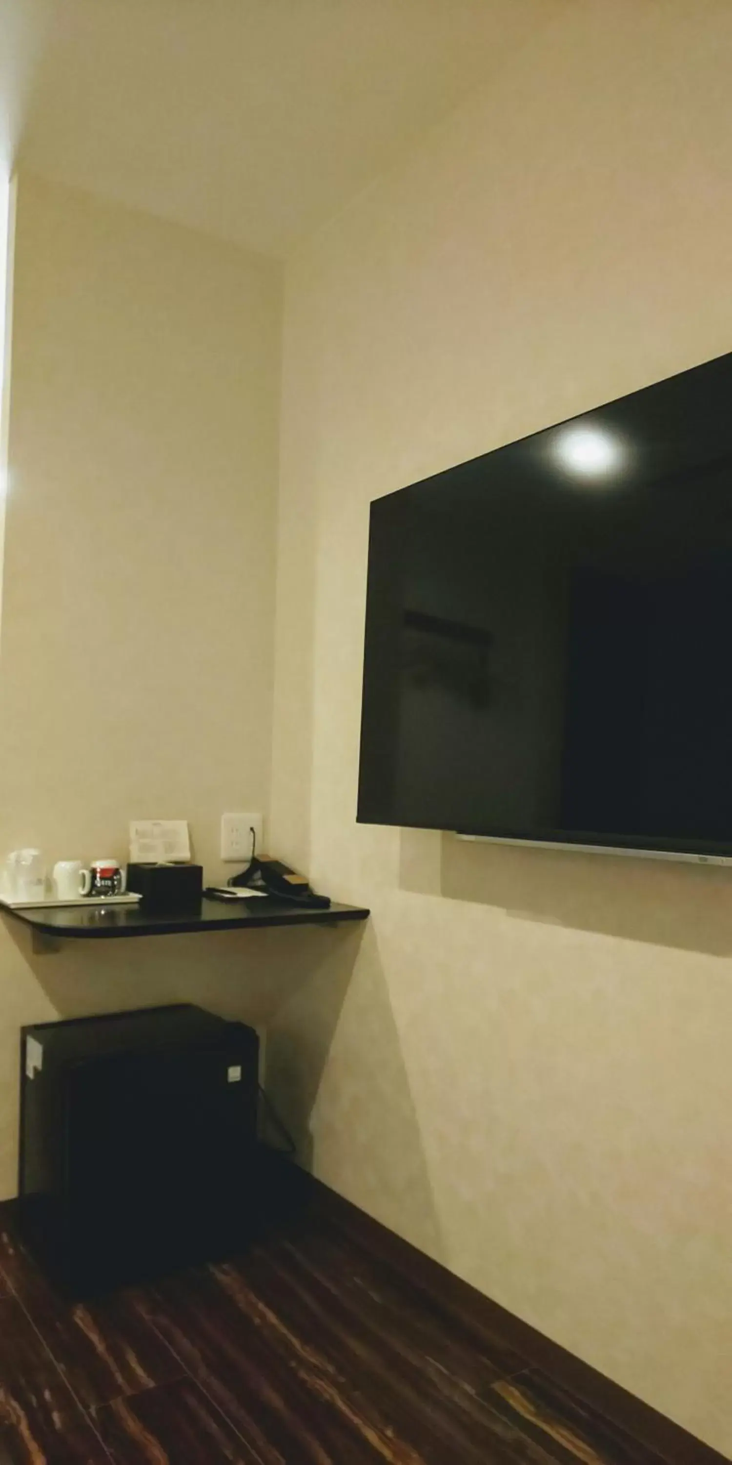 TV and multimedia, TV/Entertainment Center in Ueno First City Hotel