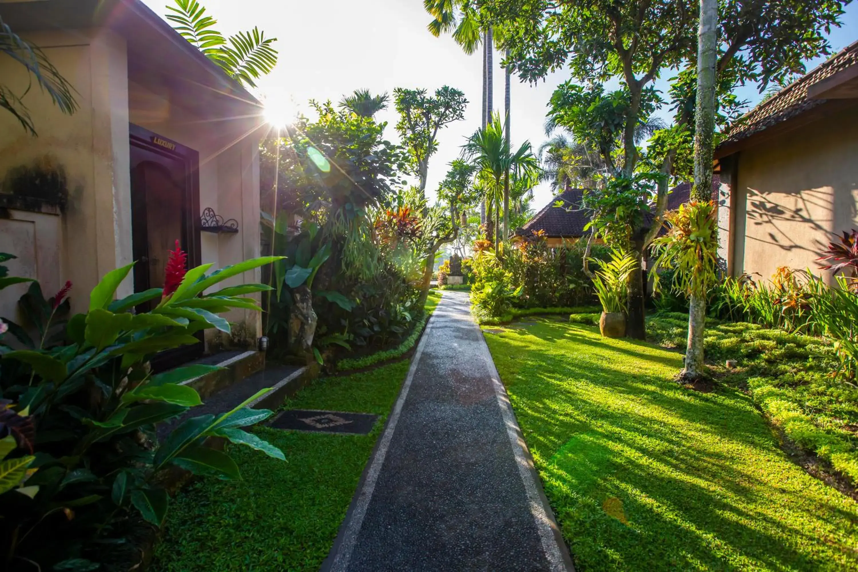 Garden in Villa Mandi Ubud