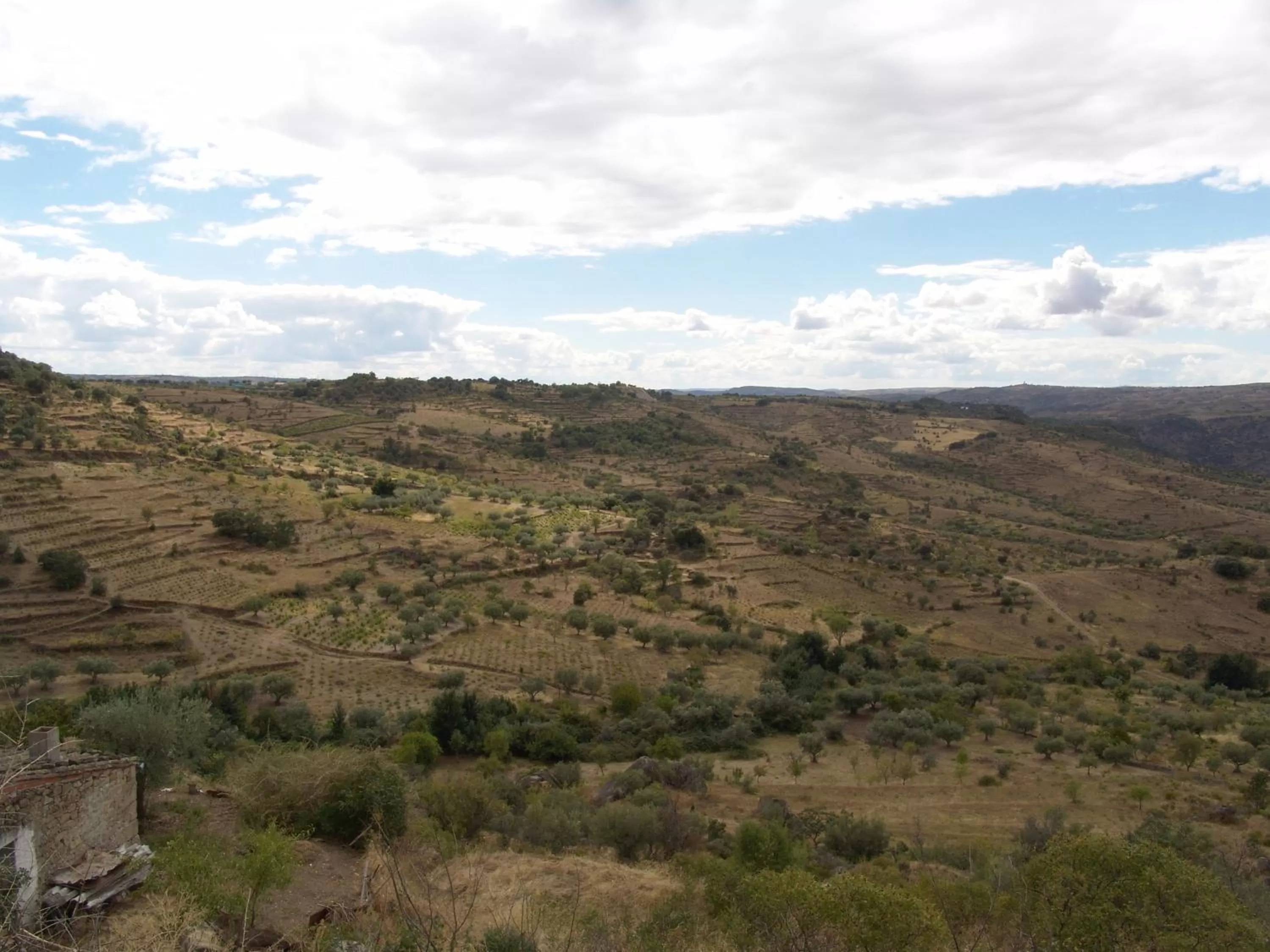 Nearby landmark in Hotel Rural La Enoteca del Marques