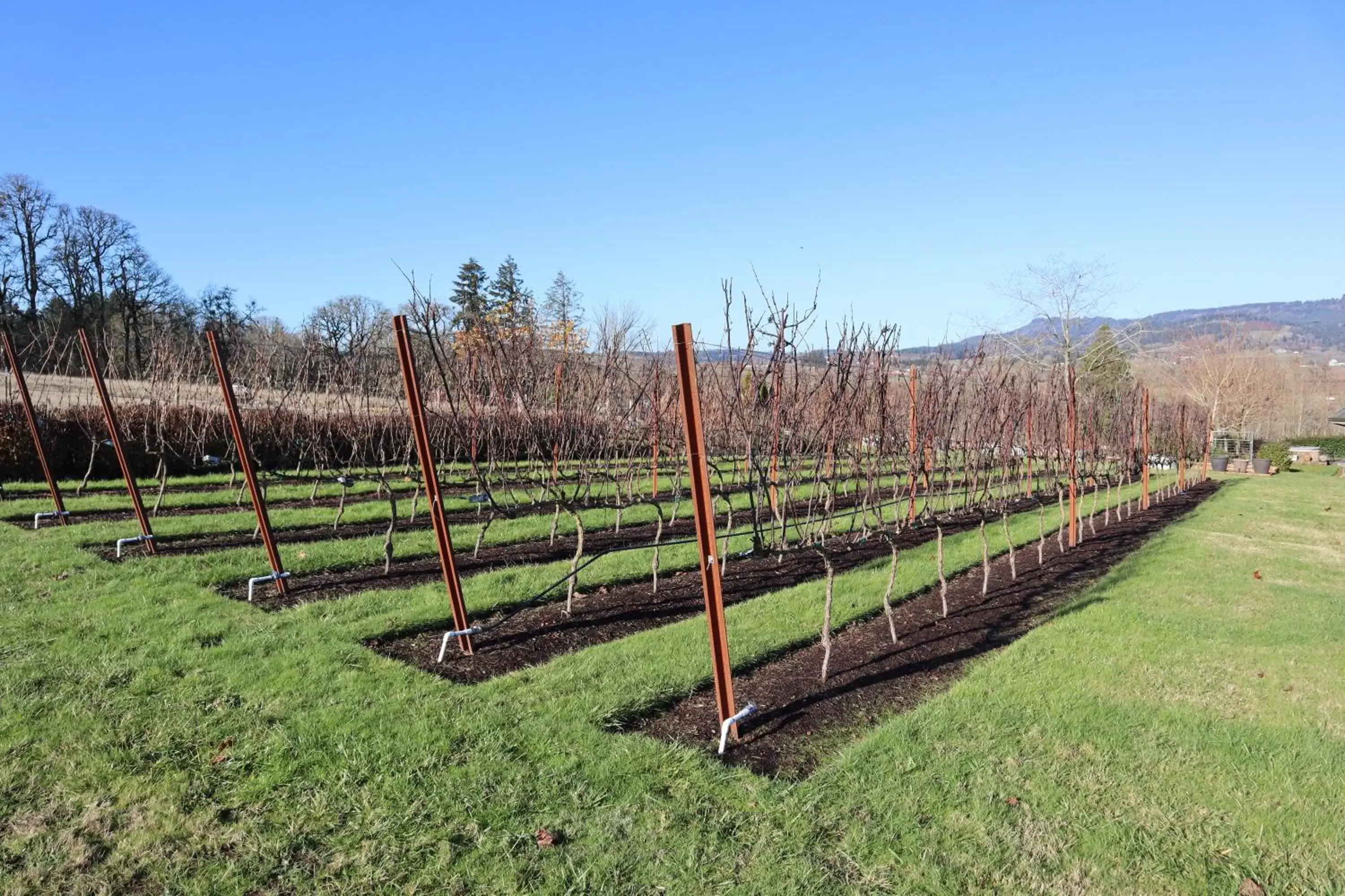 Property building in The Setting Inn Willamette Valley