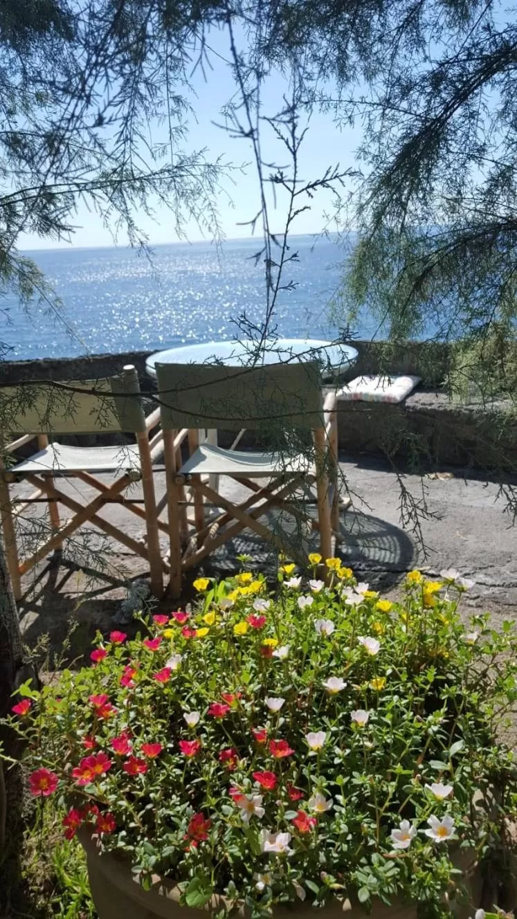 Garden in Aci Brezza di Mare