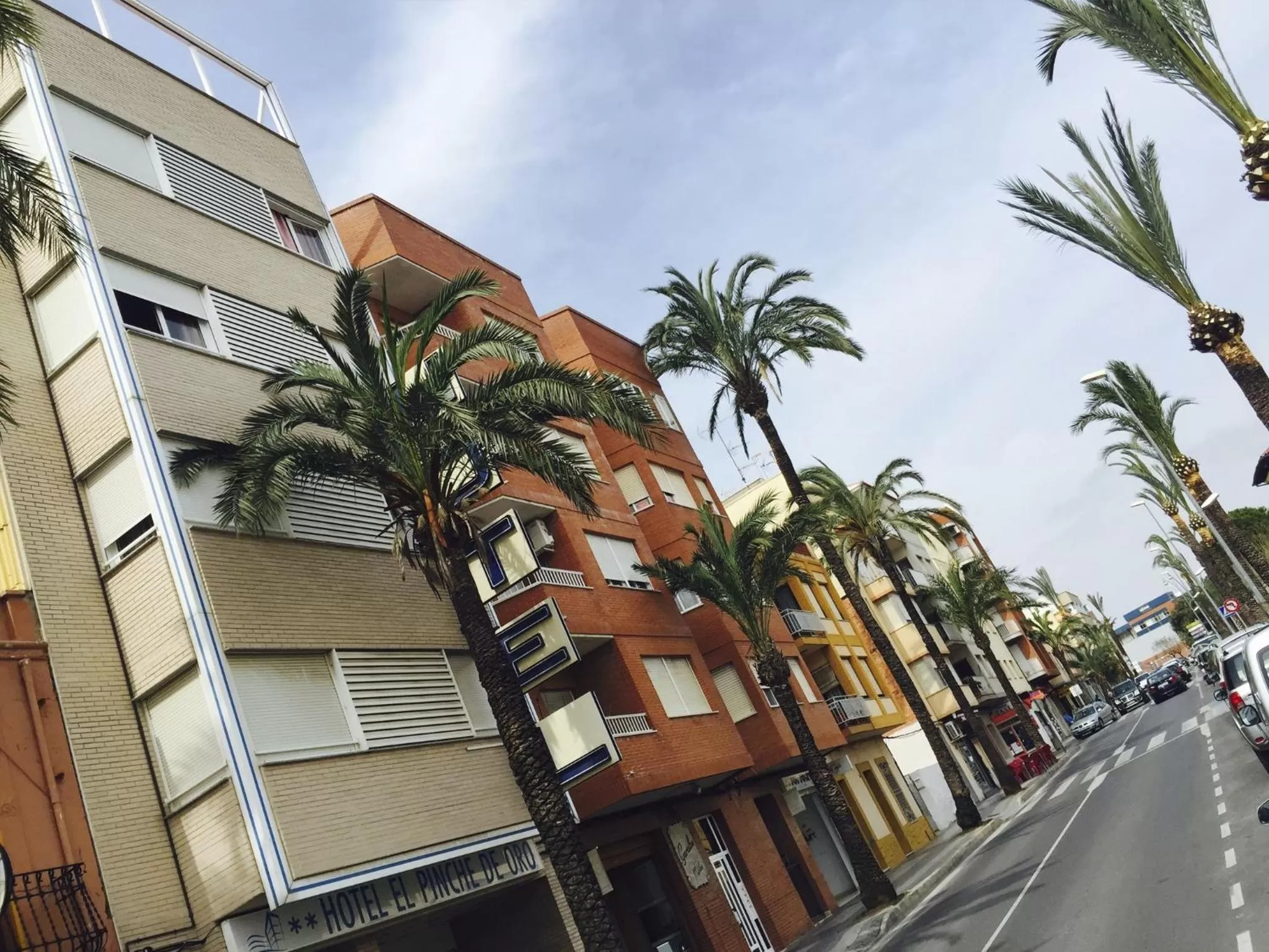 Day in El Pinche de Oro