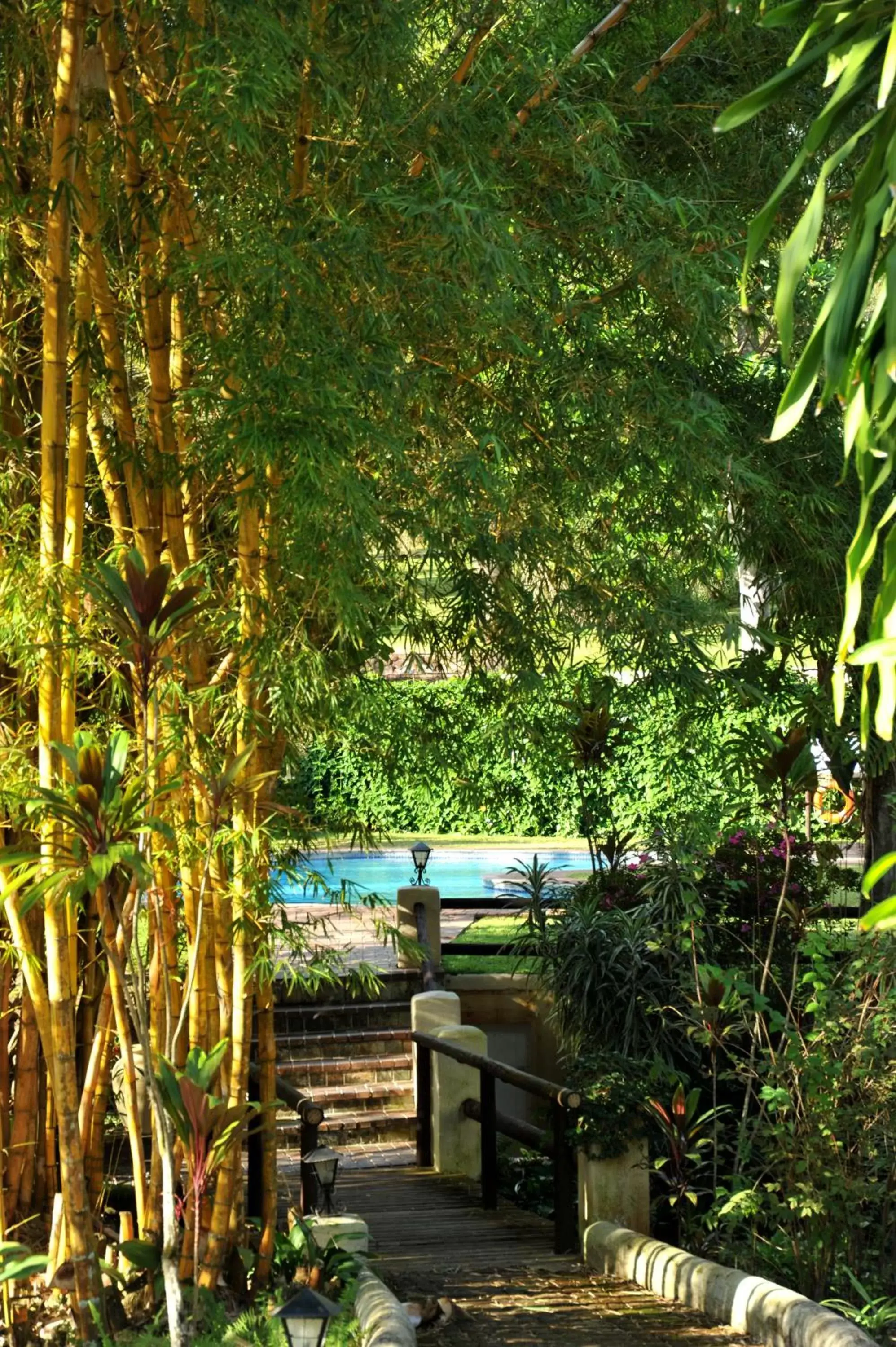Garden in ANEW Resort Hazyview Kruger Park Garden in ANEW Resort Hazyview Kruger Park