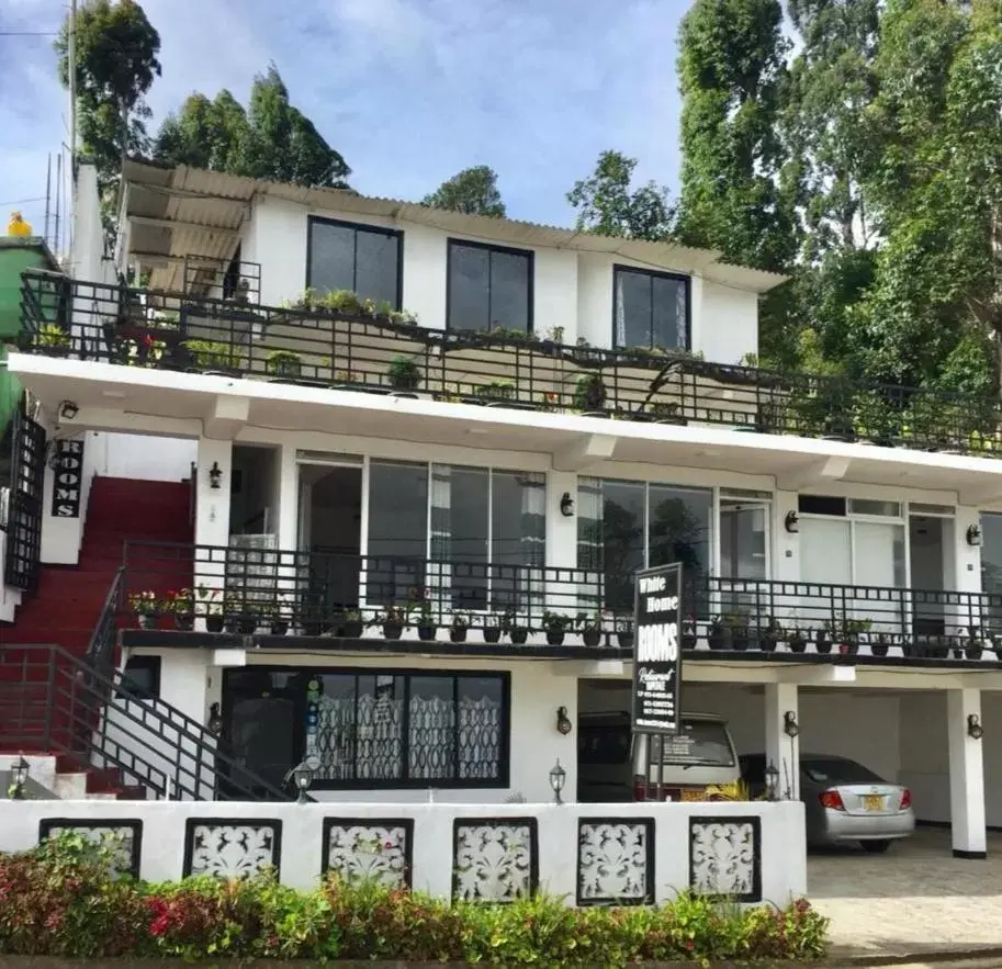 White Home White Home