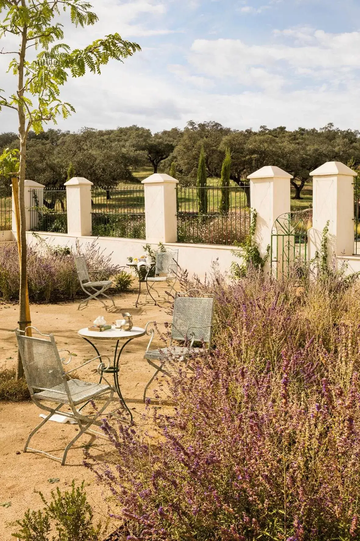 Seating area in La Dehesa de Don Pedro