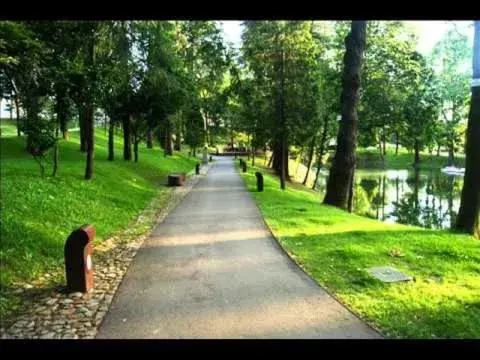 Nearby landmark, Garden in Hotel Dom Vilas