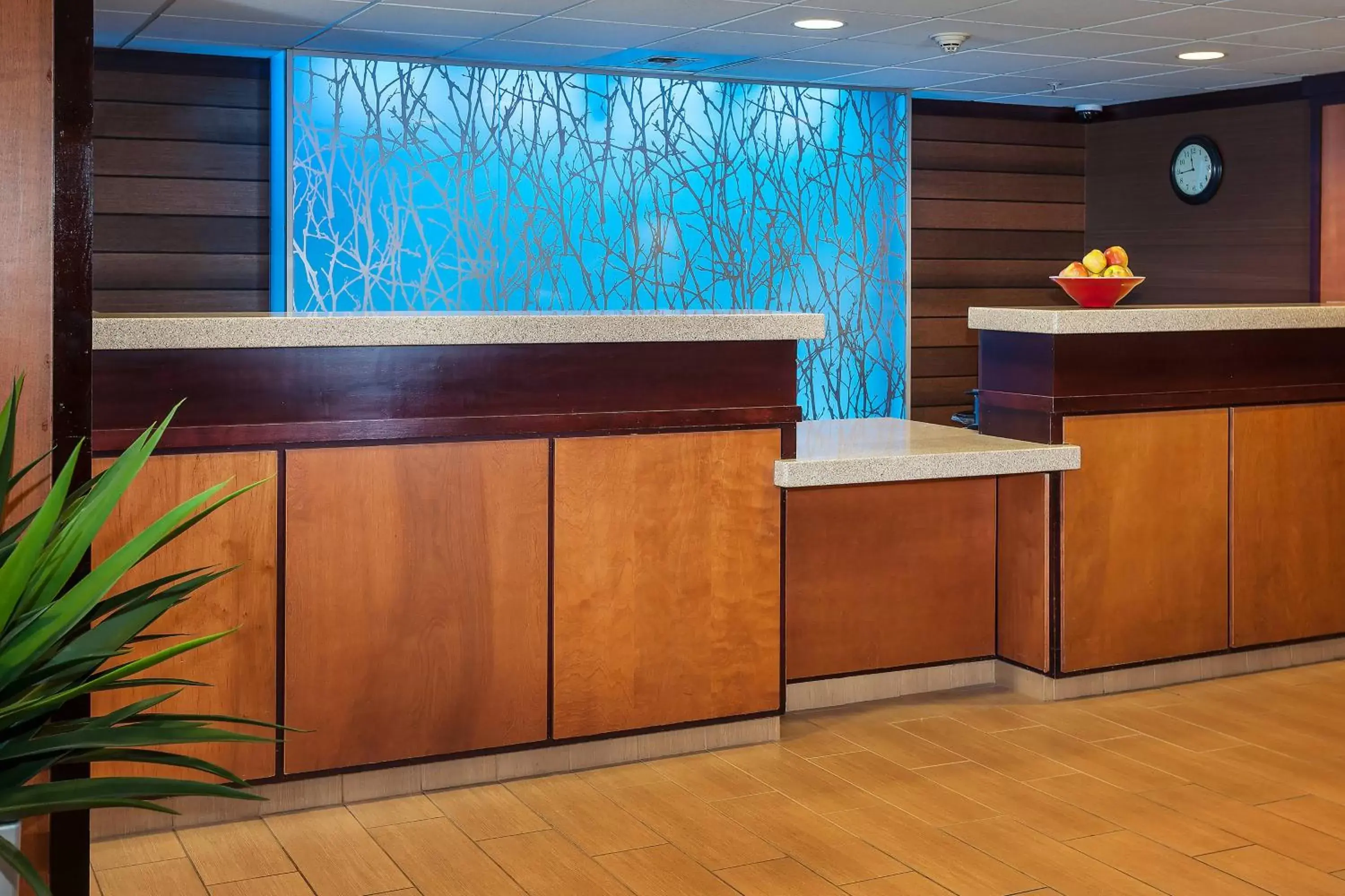 Lobby or reception, Lobby/Reception in Fairfield Inn & Suites by Marriott Anchorage Midtown