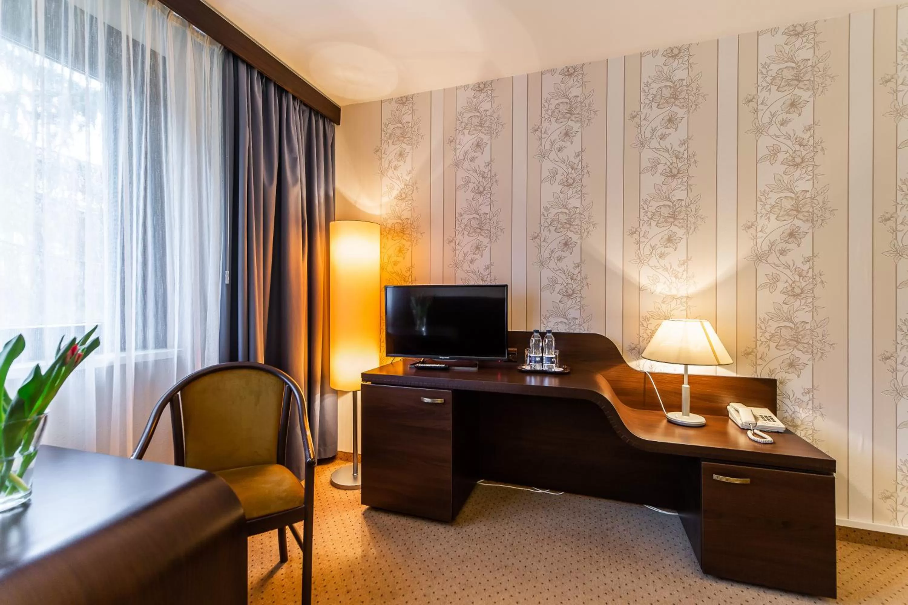 Photo of the whole room in Hotel Solny