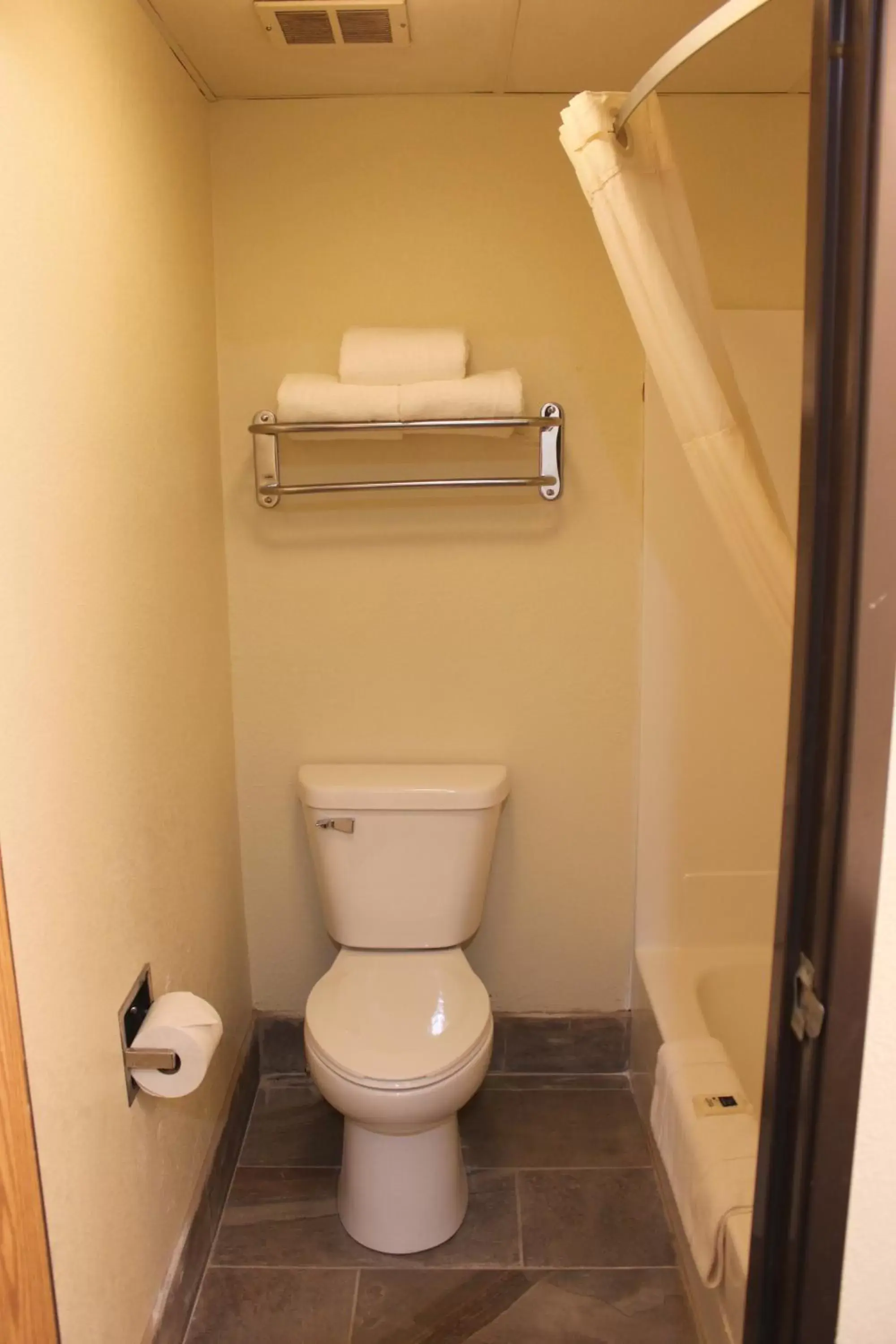 Toilet, Bathroom in AmericInn by Wyndham West Burlington