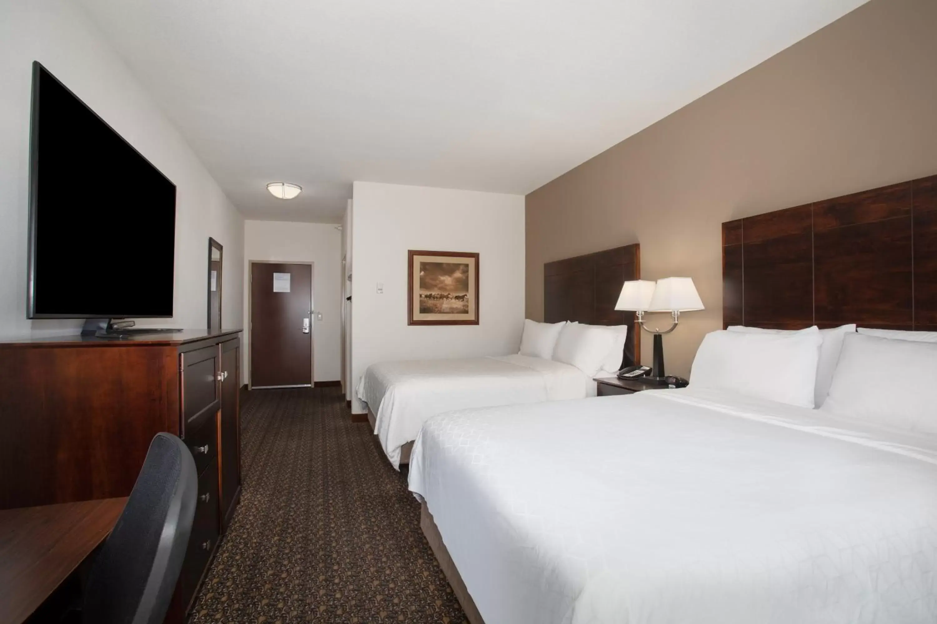 Photo of the whole room, Bed in Holiday Inn Express Hotel & Suites Lander, an IHG Hotel