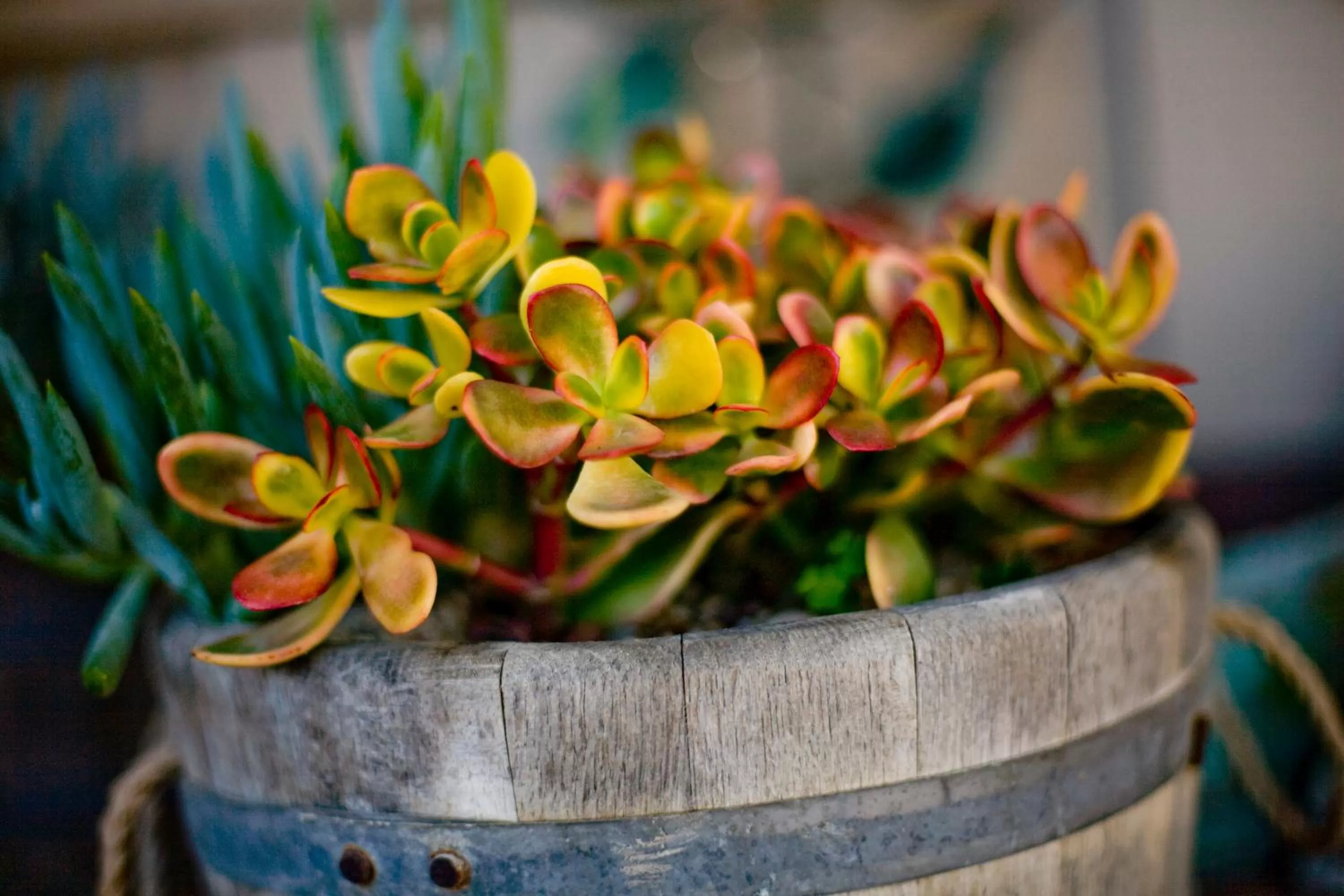 Decorative detail in Cambria Shores Inn