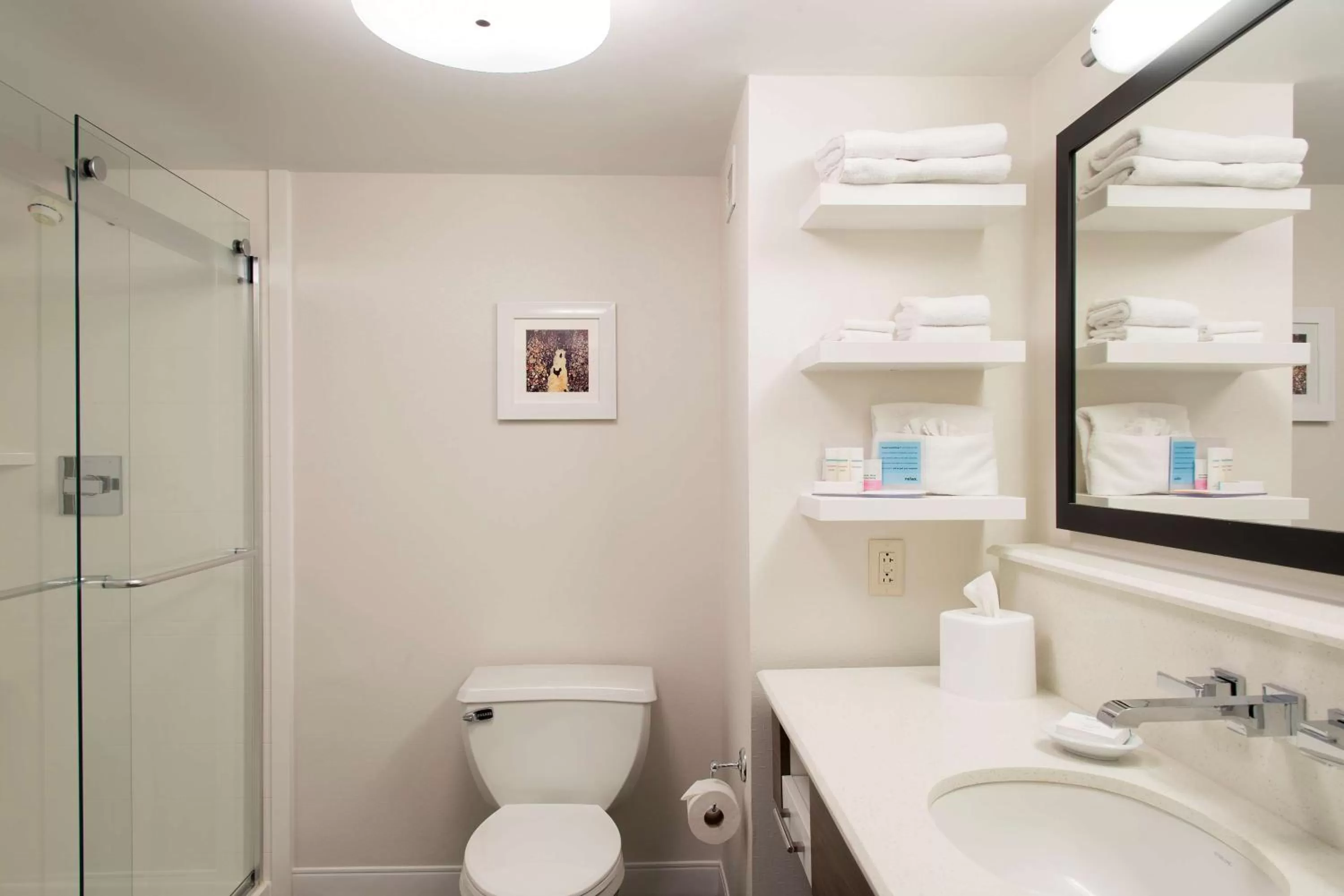 Bathroom in Hampton Inn Seymour