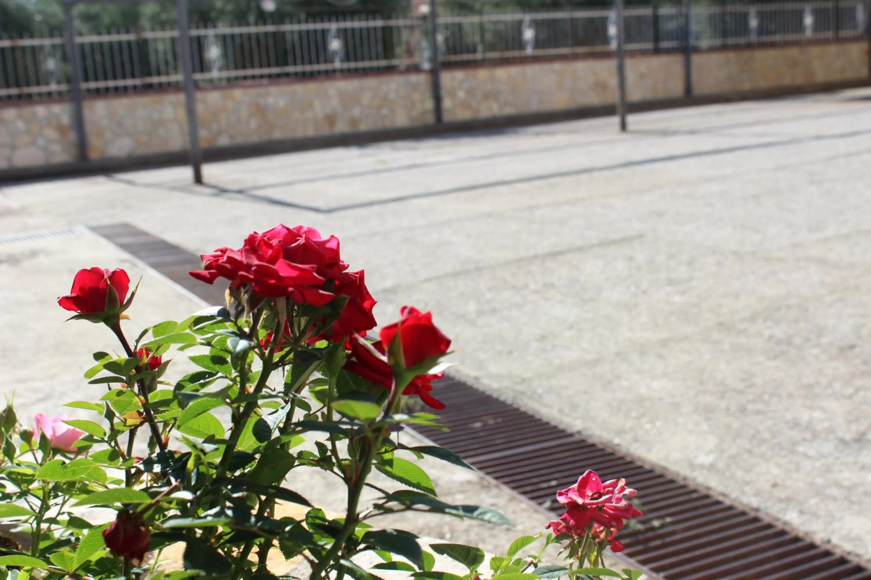 View (from property/room) in B&B La Vigna