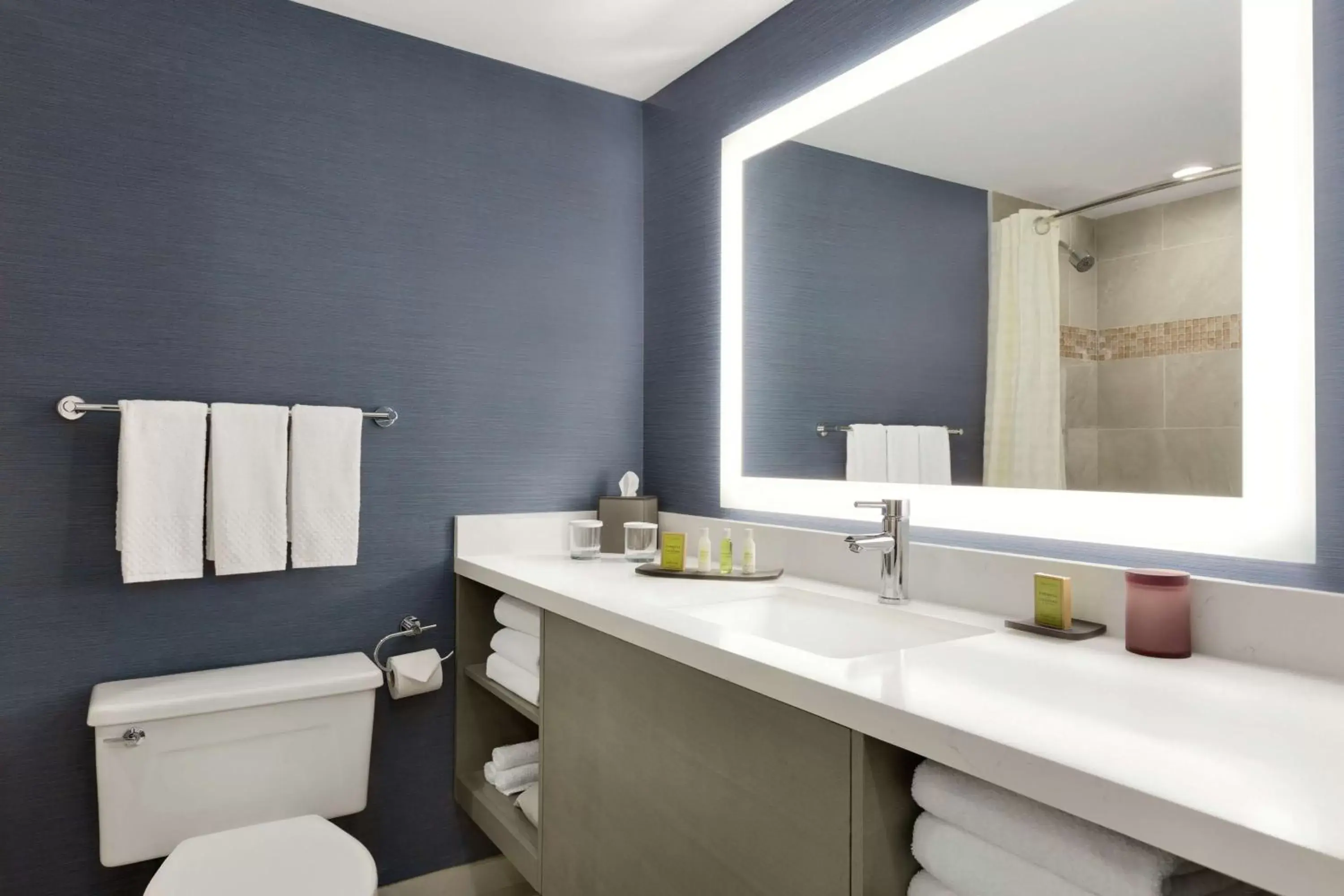 Bathroom in DoubleTree Suites by Hilton Hotel Boston - Cambridge